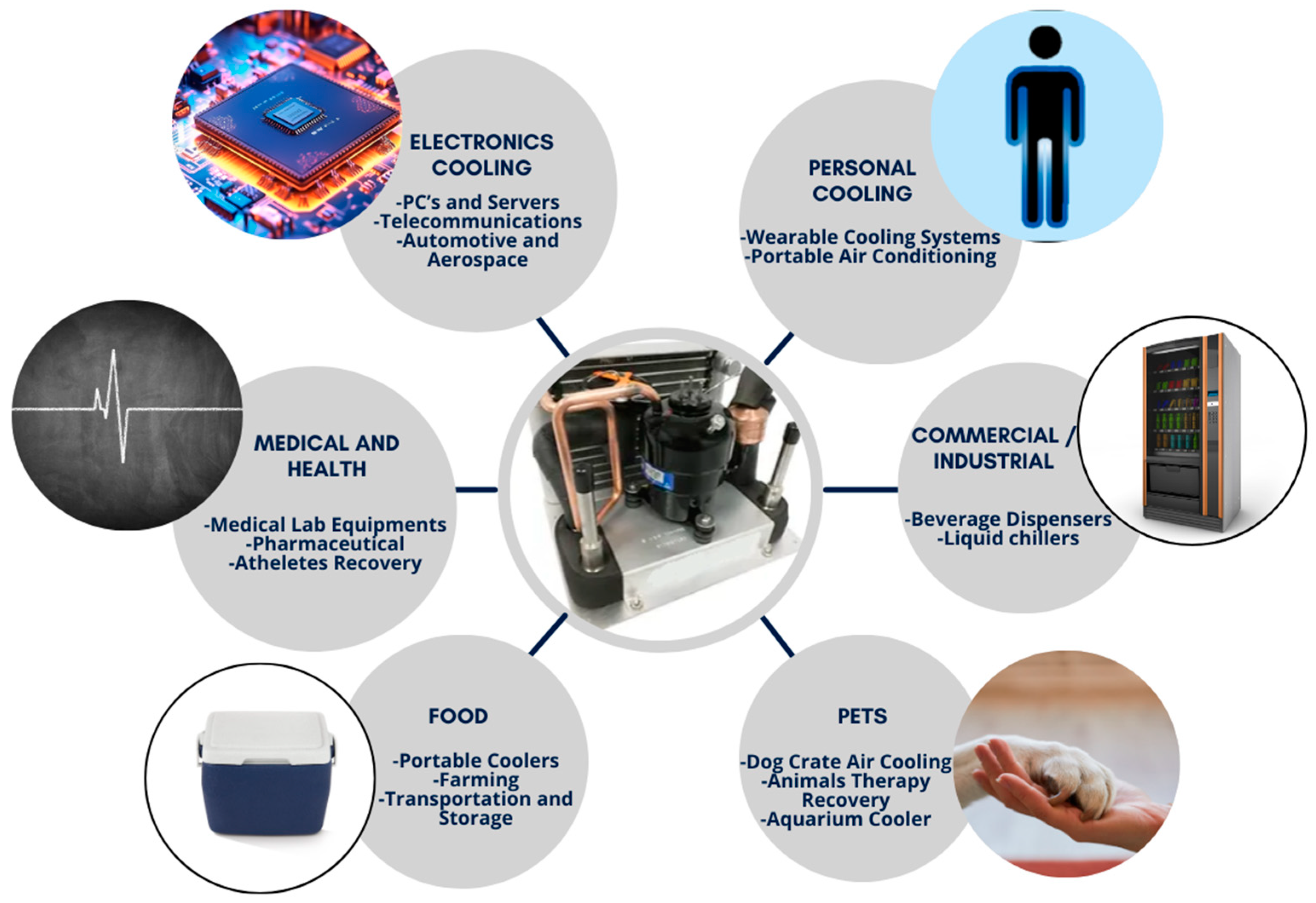 Applsci 14 03069 g028 Applsci 14 03069 g028