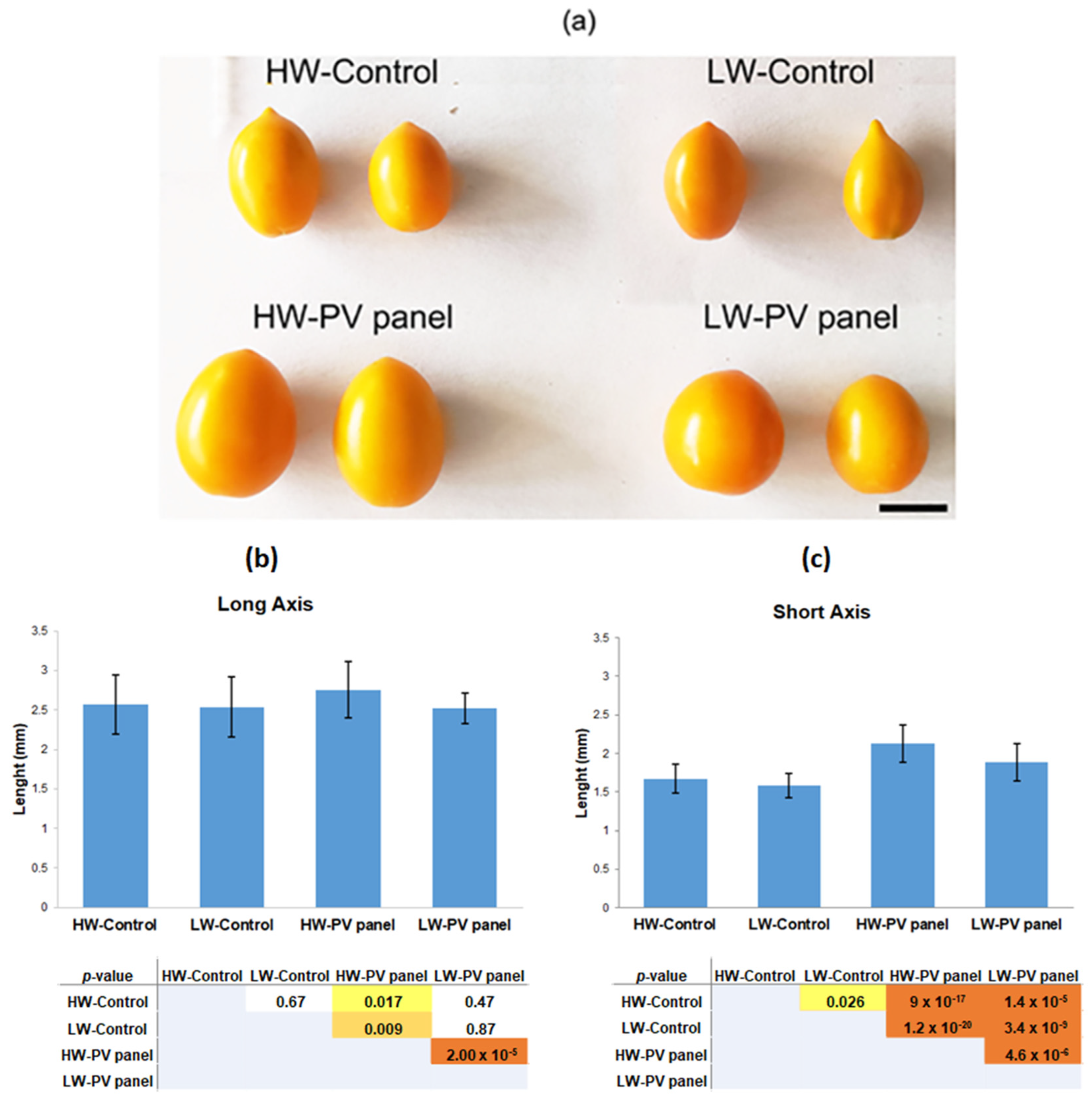 Applsci 14 03095 g004