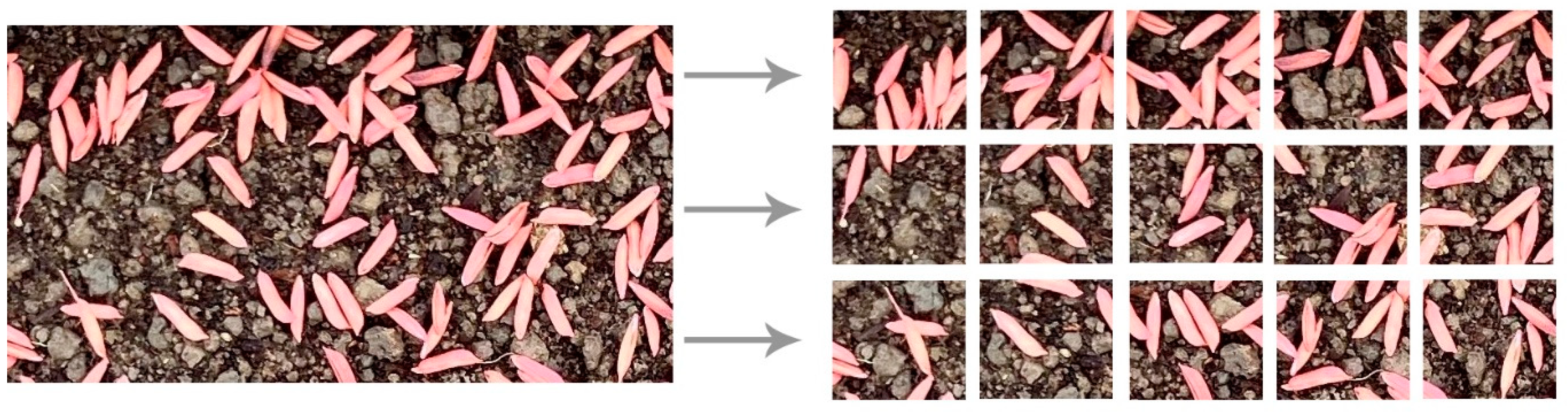 Applsci 14 03098 g004