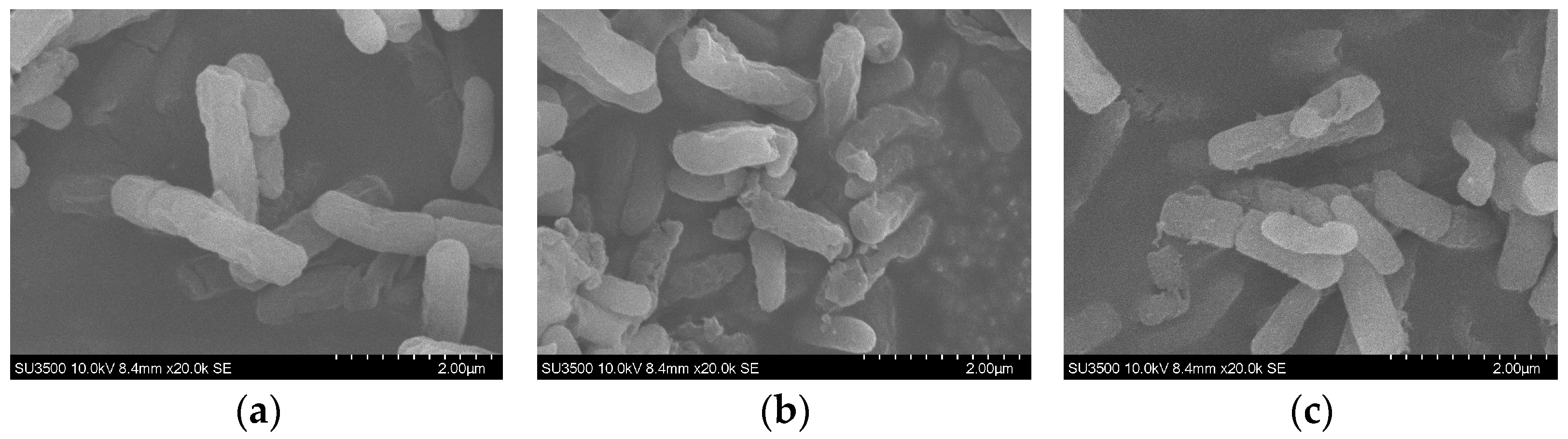 Applsci 14 03111 g014