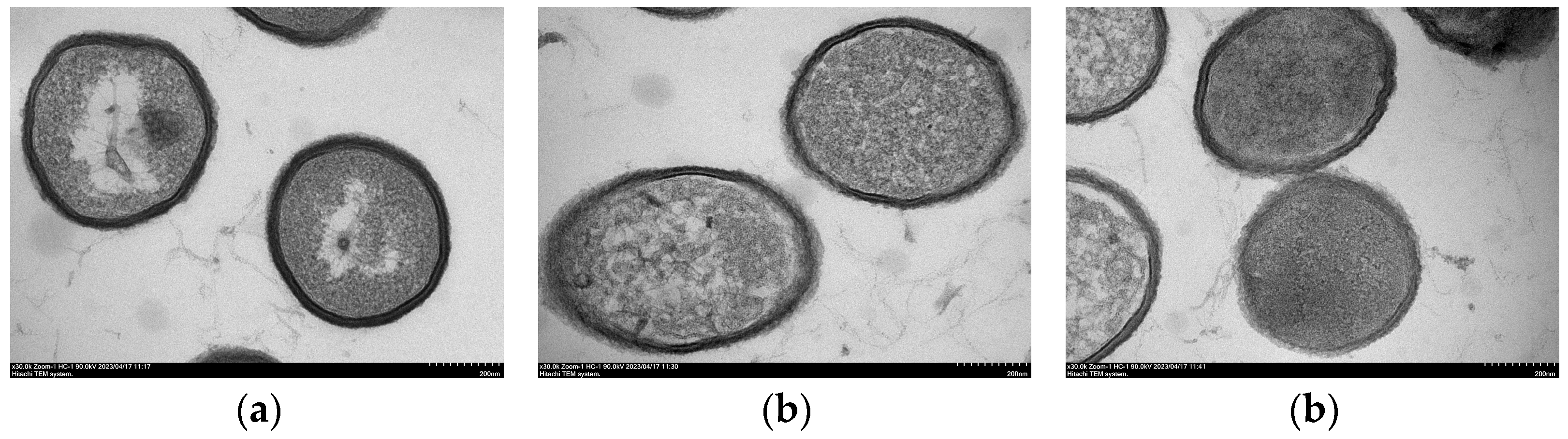 Applsci 14 03111 g015