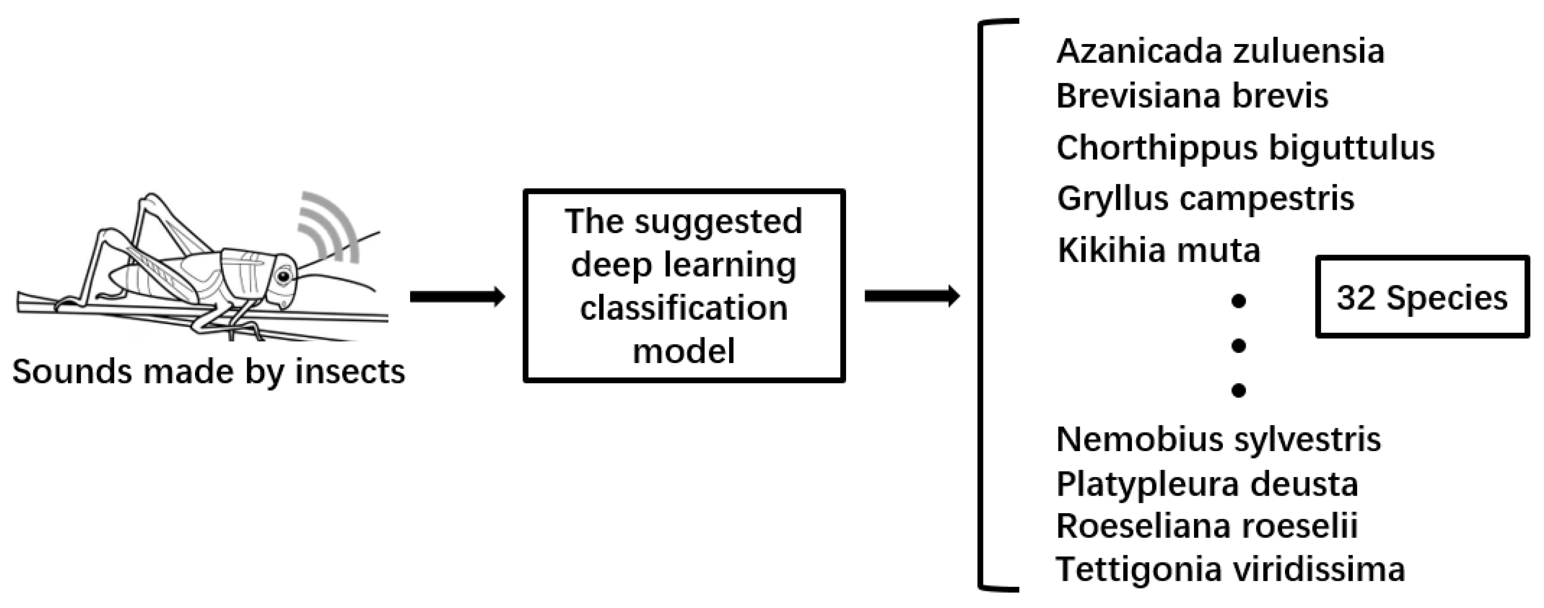 Applsci 14 03116 g001