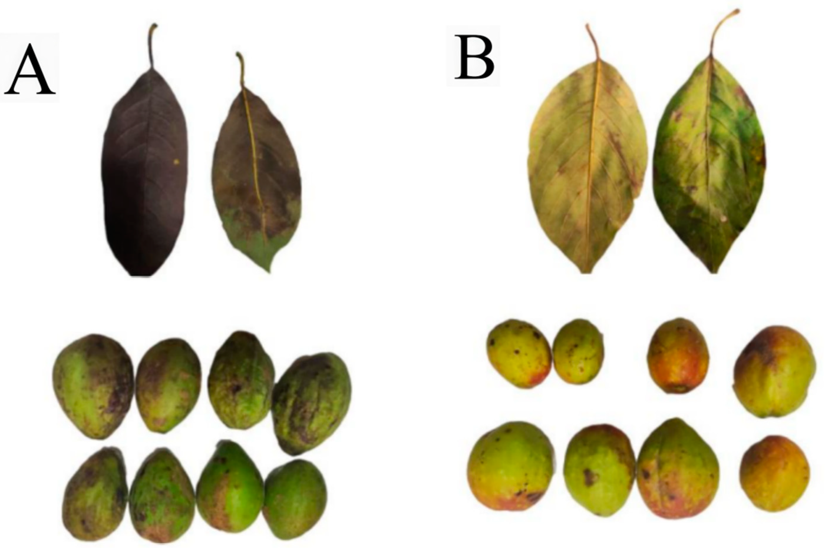 Applsci 14 03123 g001