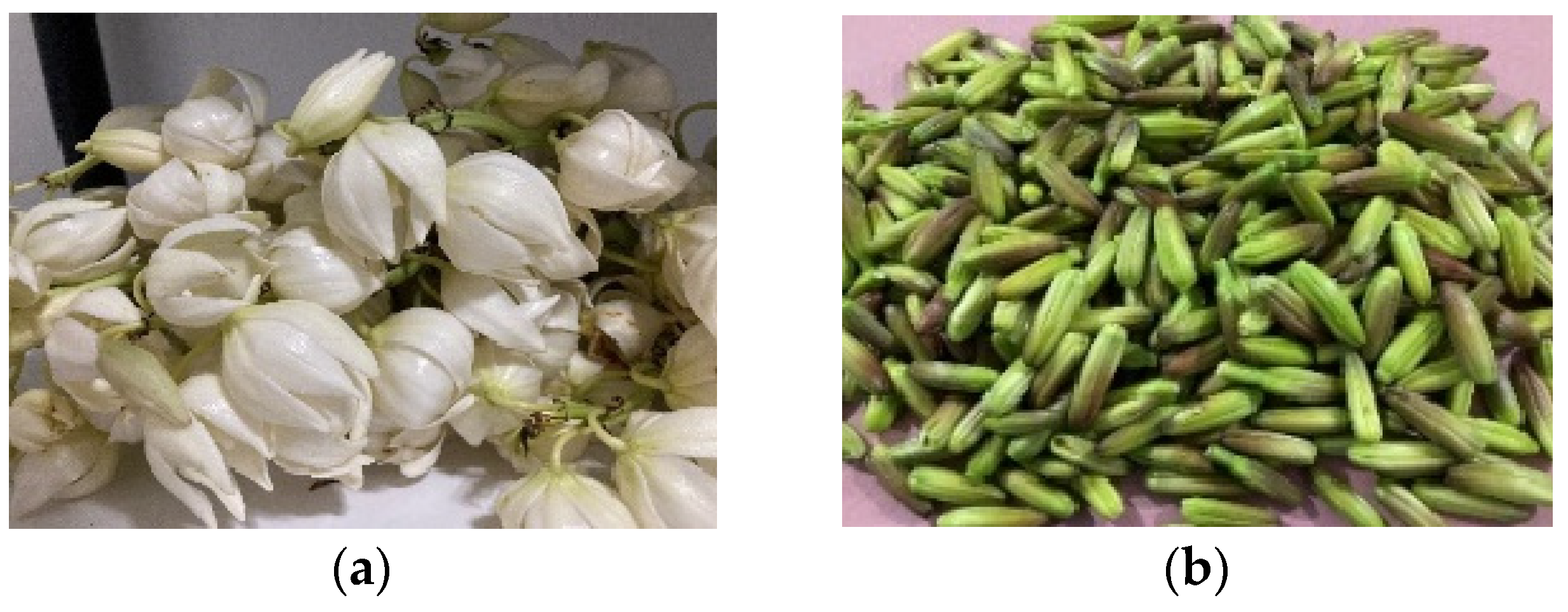 Applsci 14 03136 g001a Applsci 14 03136 g001a