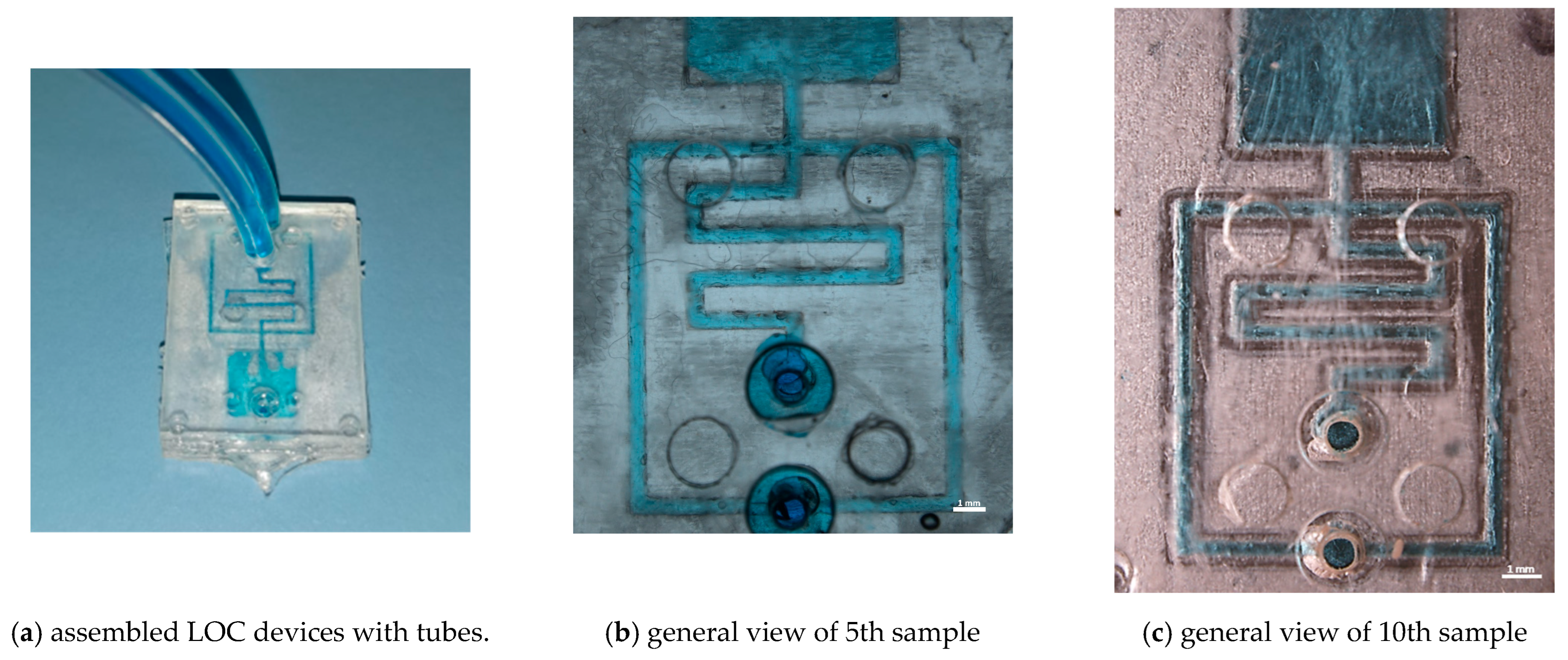 Applsci 14 03157 g012