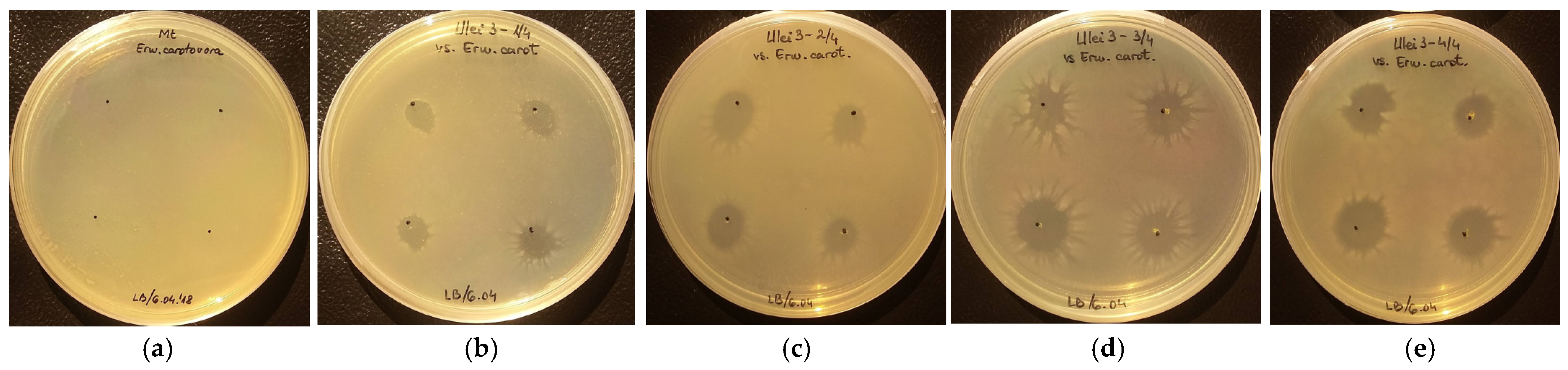 Applsci 14 03159 g002