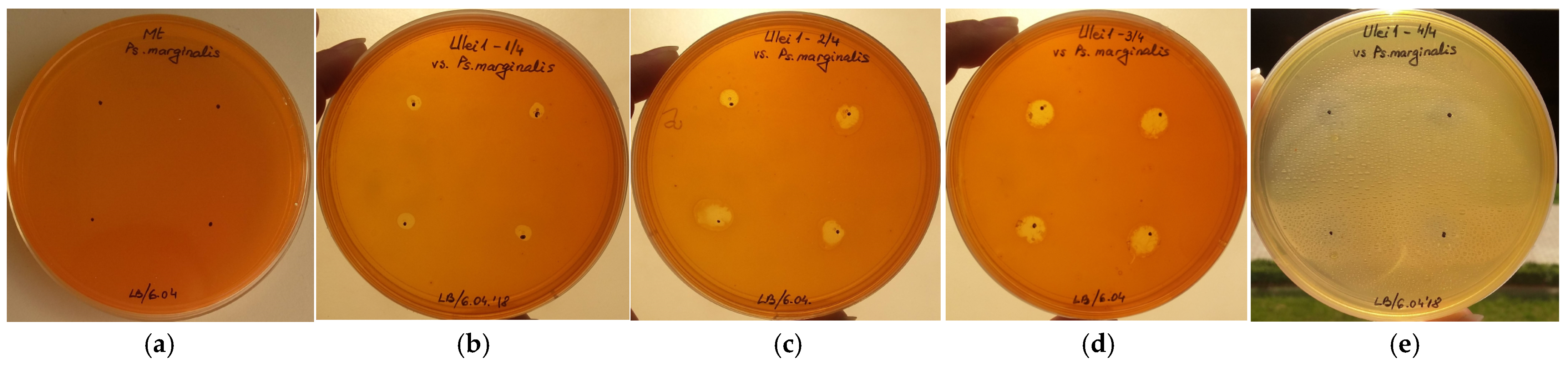 Applsci 14 03159 g003