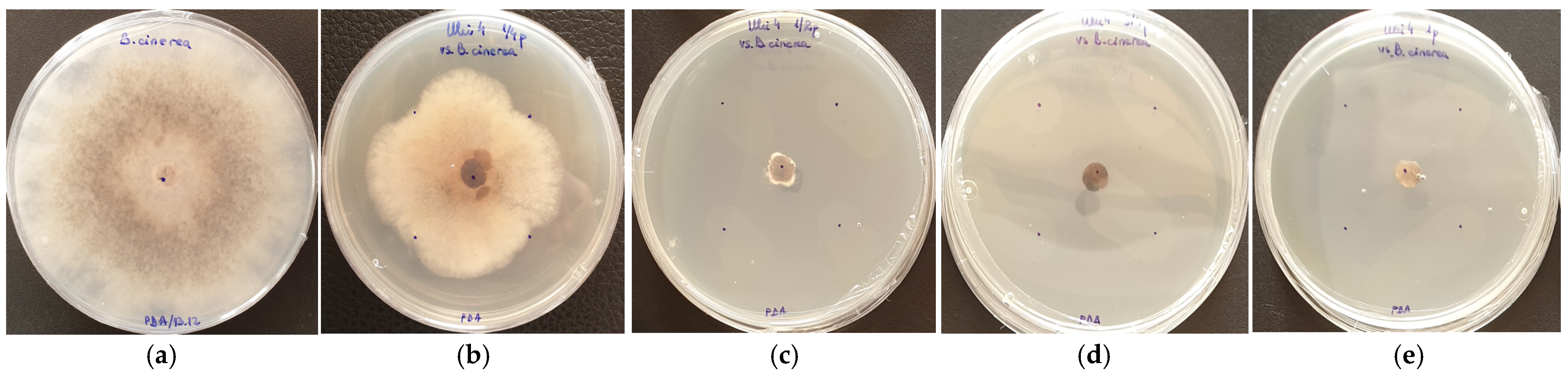 Applsci 14 03159 g008