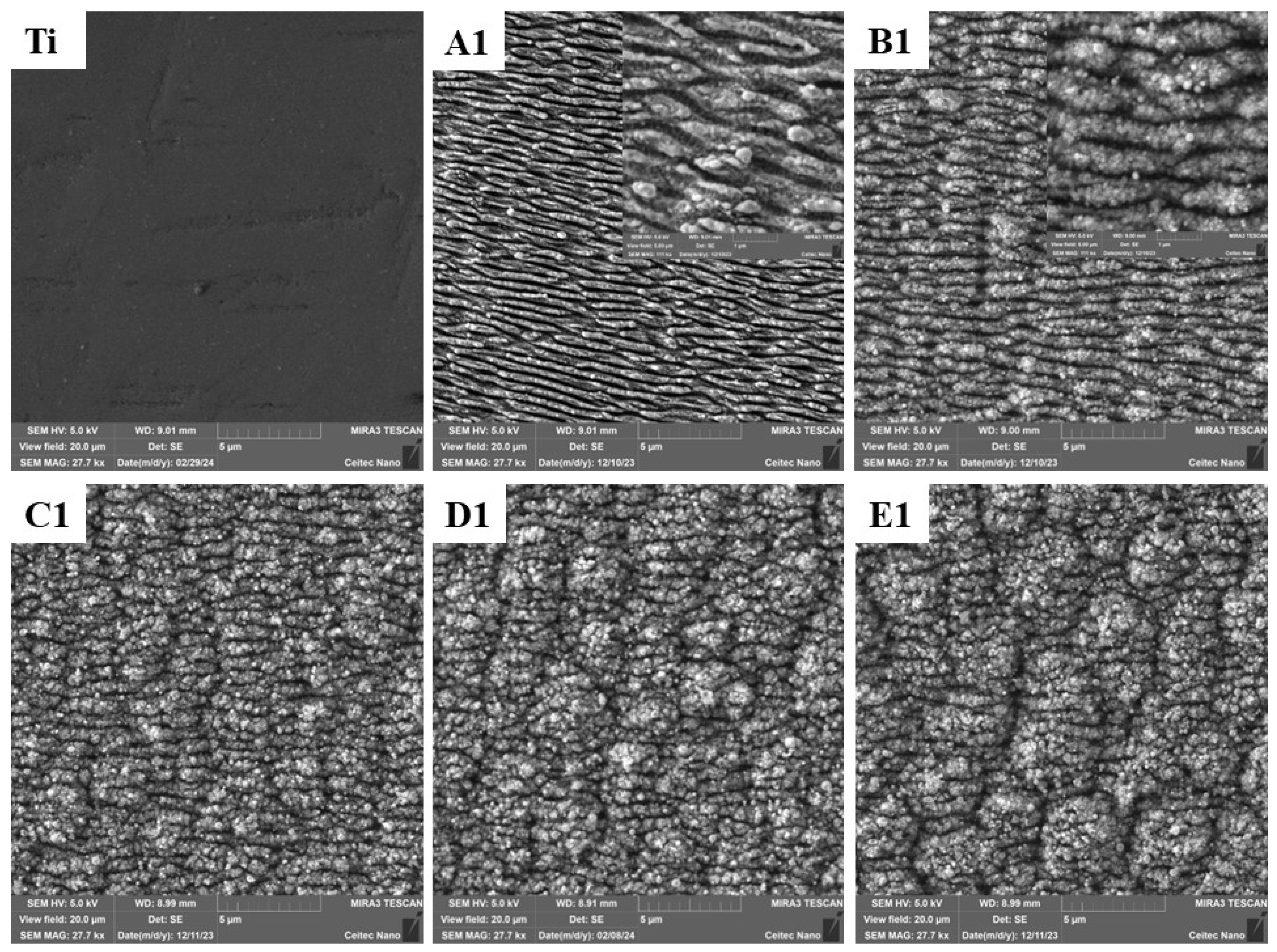 Applsci 14 03164 g002