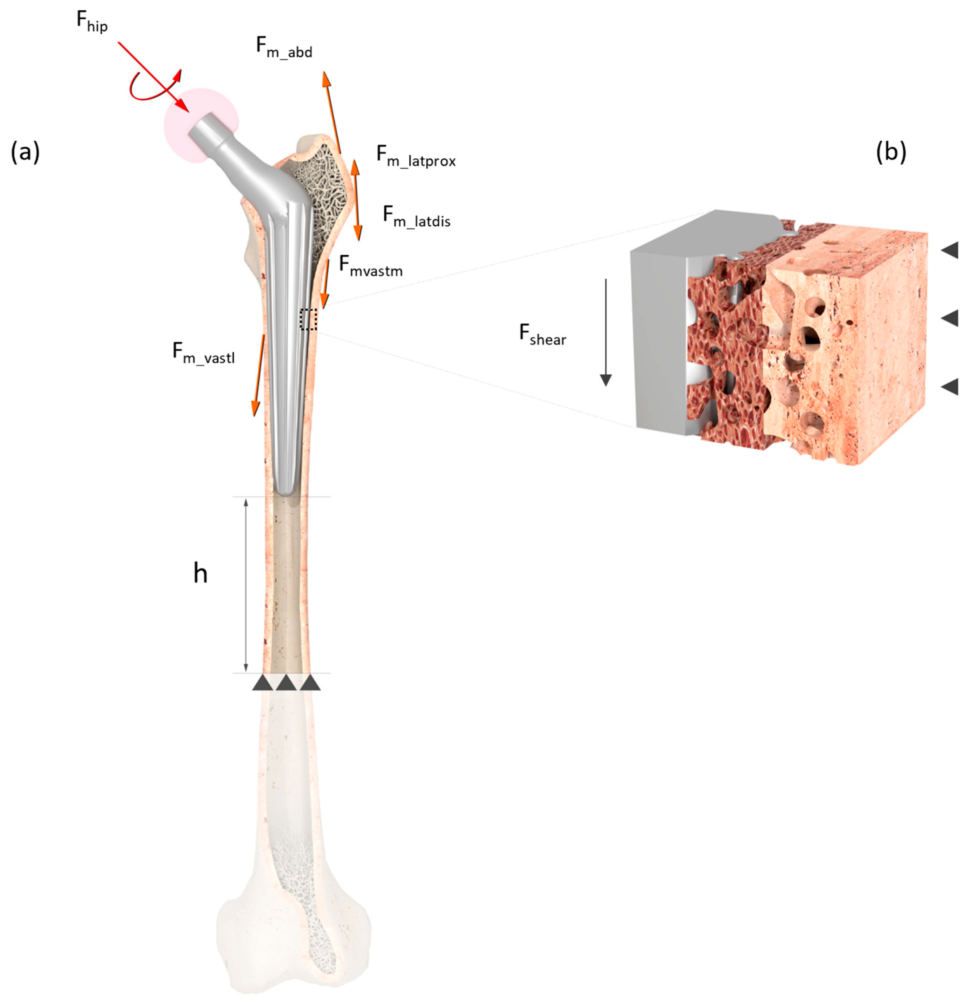 Applsci 14 03200 g002 Applsci 14 03200 g002