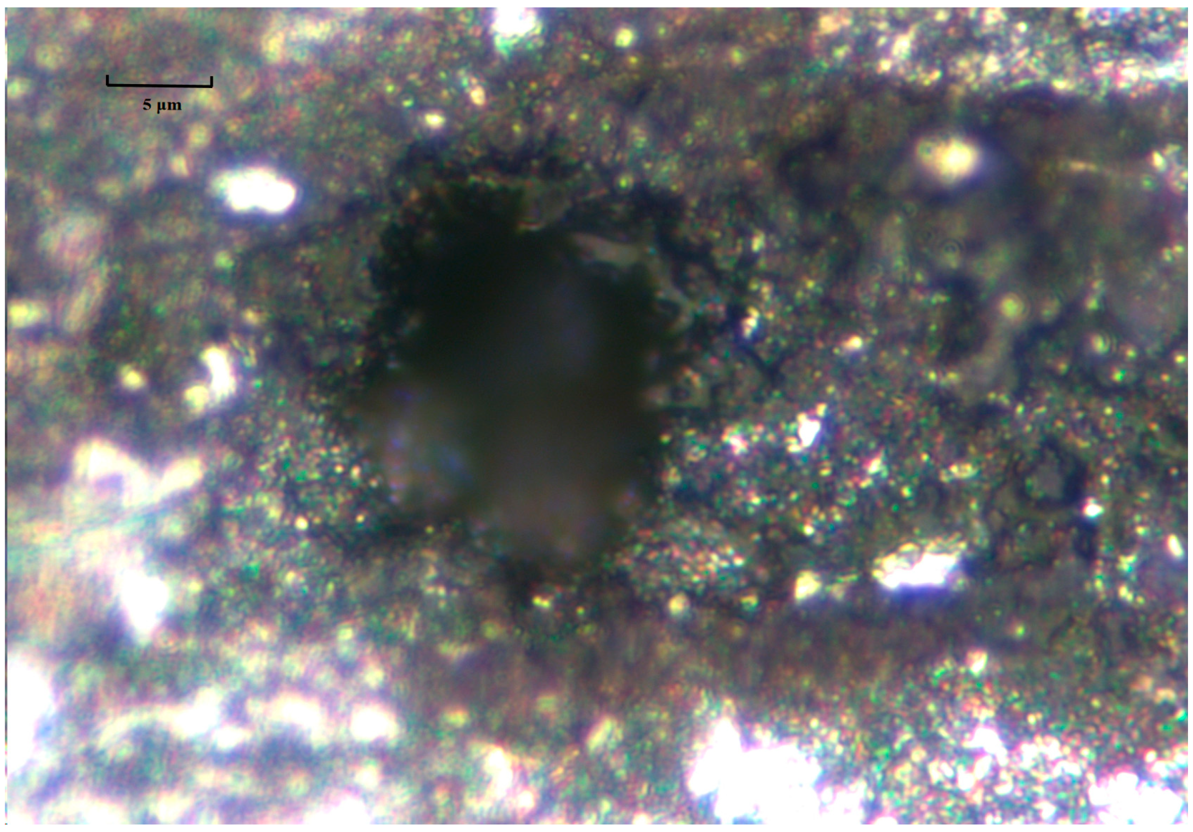 Applsci 14 03251 g016