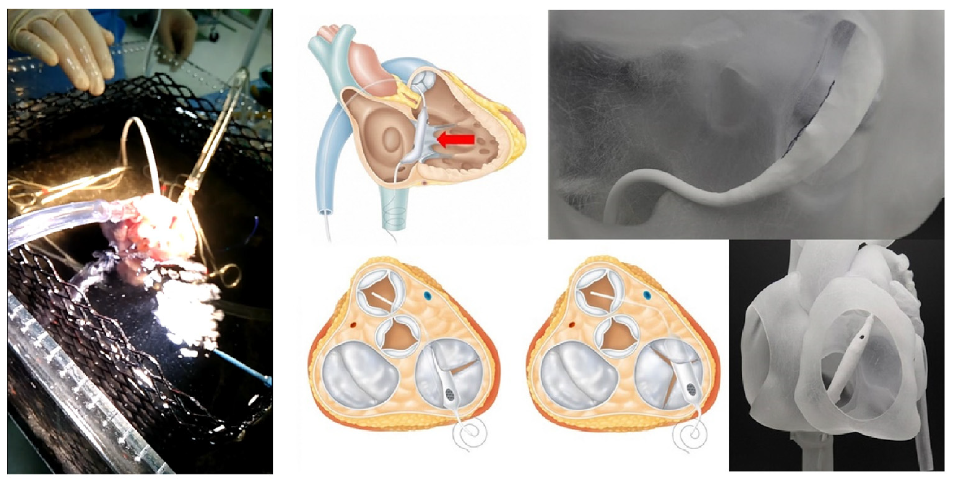 Applsci 14 03307 g002