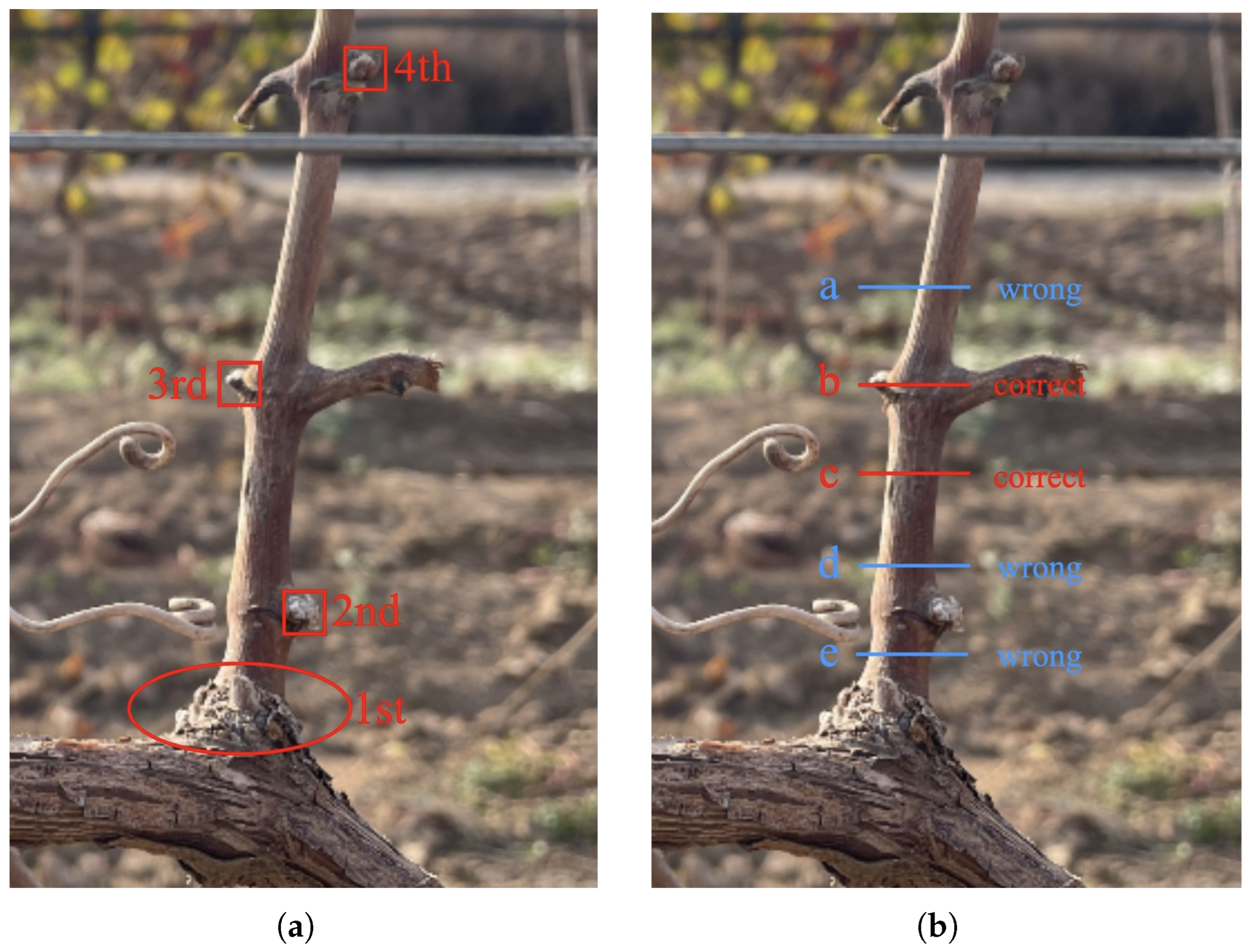 Applsci 14 03327 g004