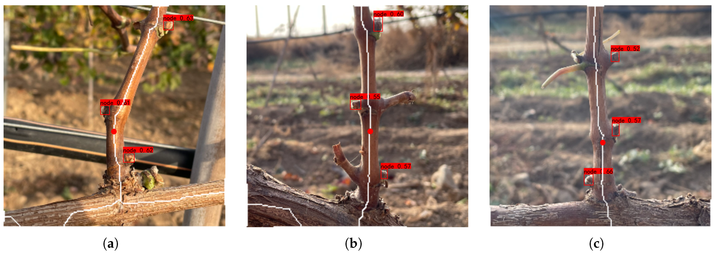 Applsci 14 03327 g014