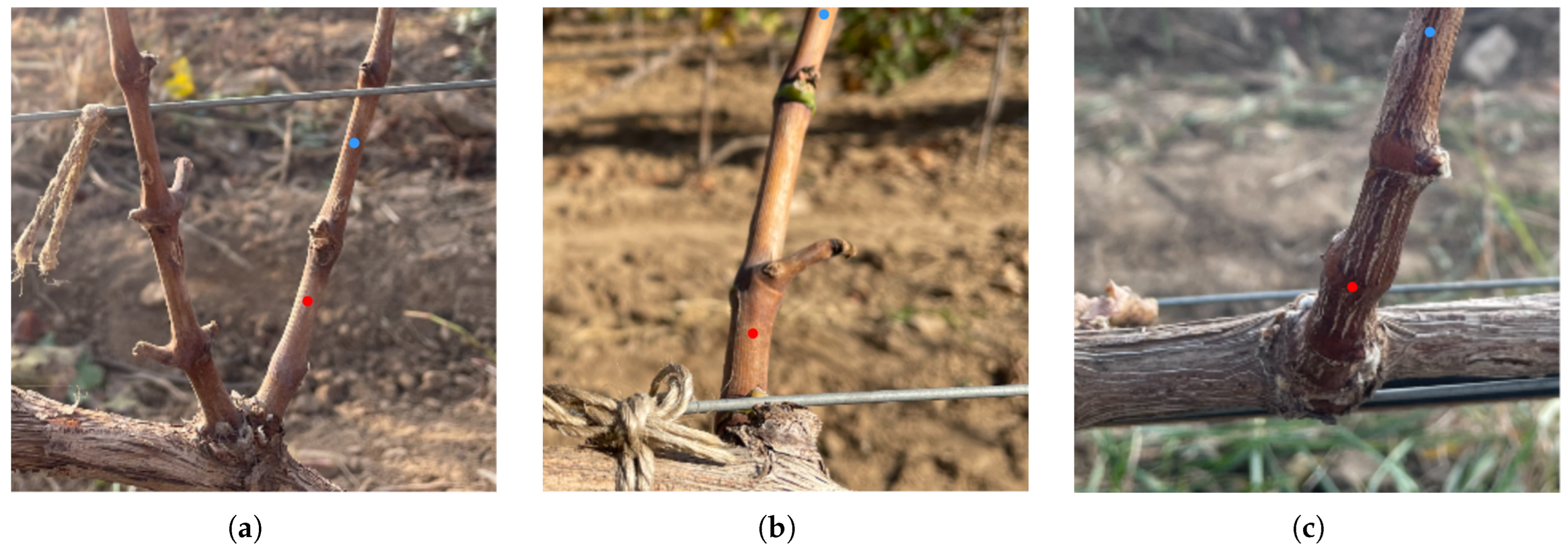 Applsci 14 03327 g015