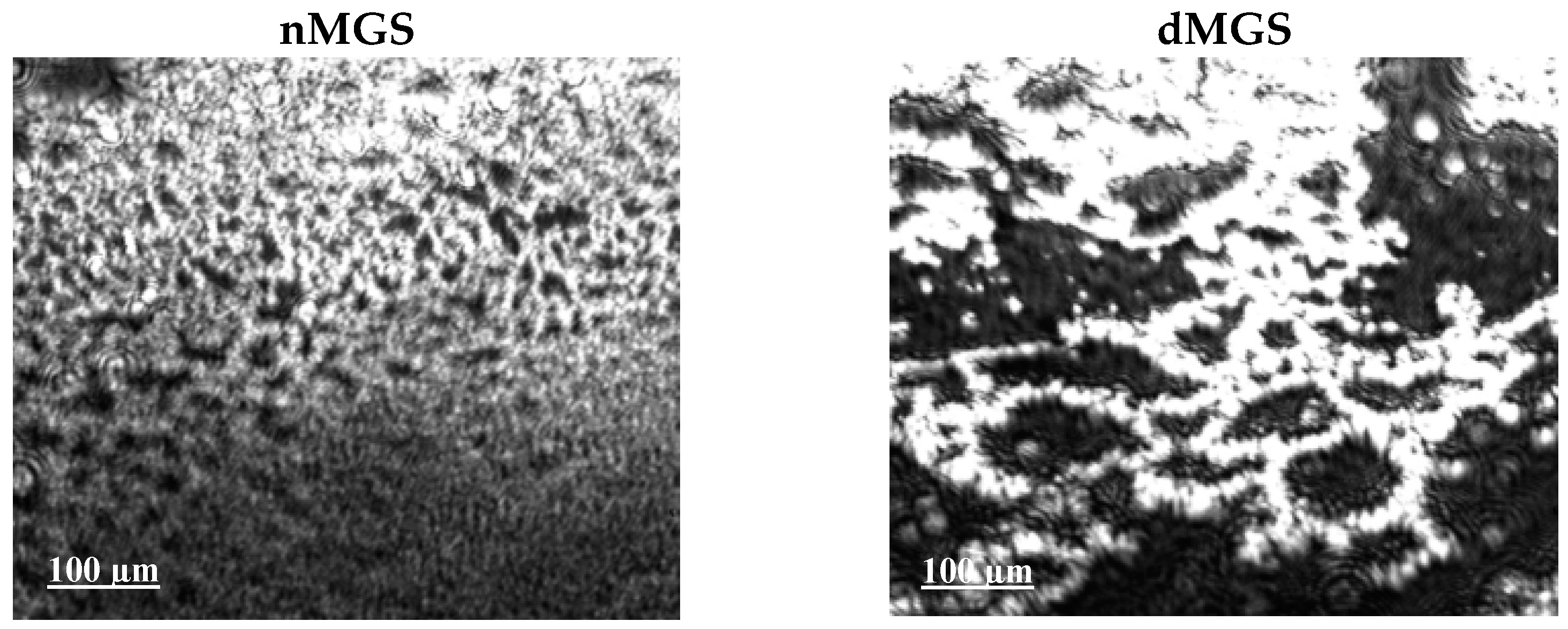 Applsci 14 03339 g004 Applsci 14 03339 g004