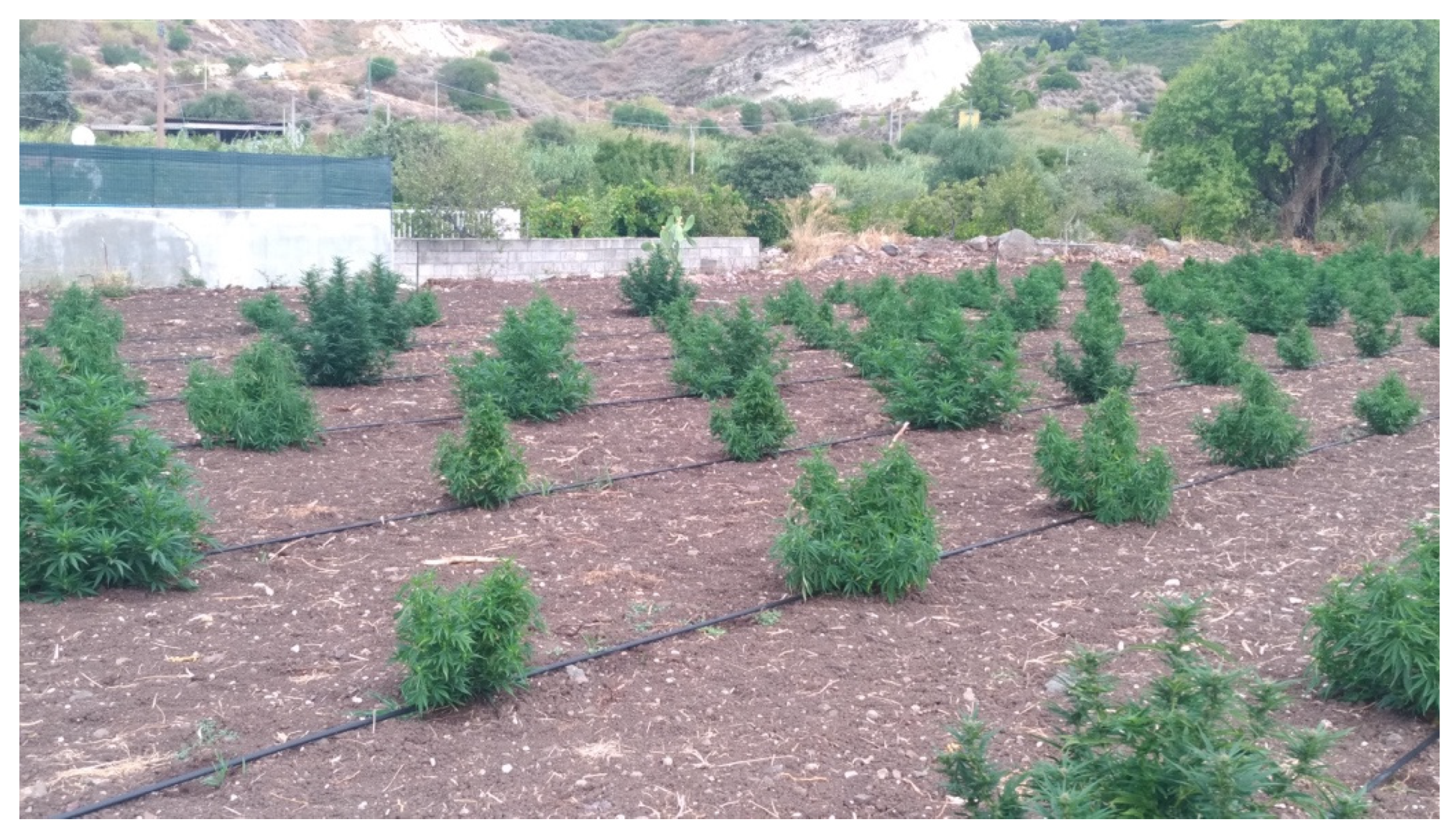 Applsci 14 03353 g001