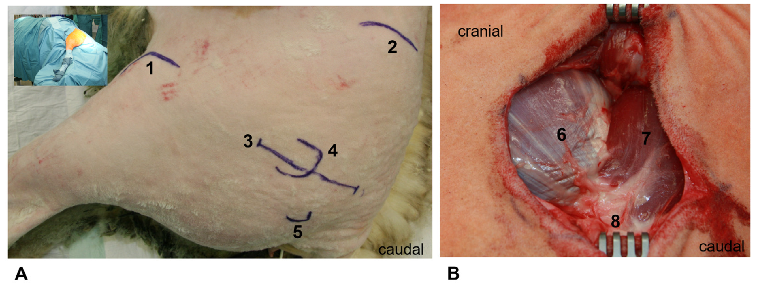 Applsci 14 03375 g002