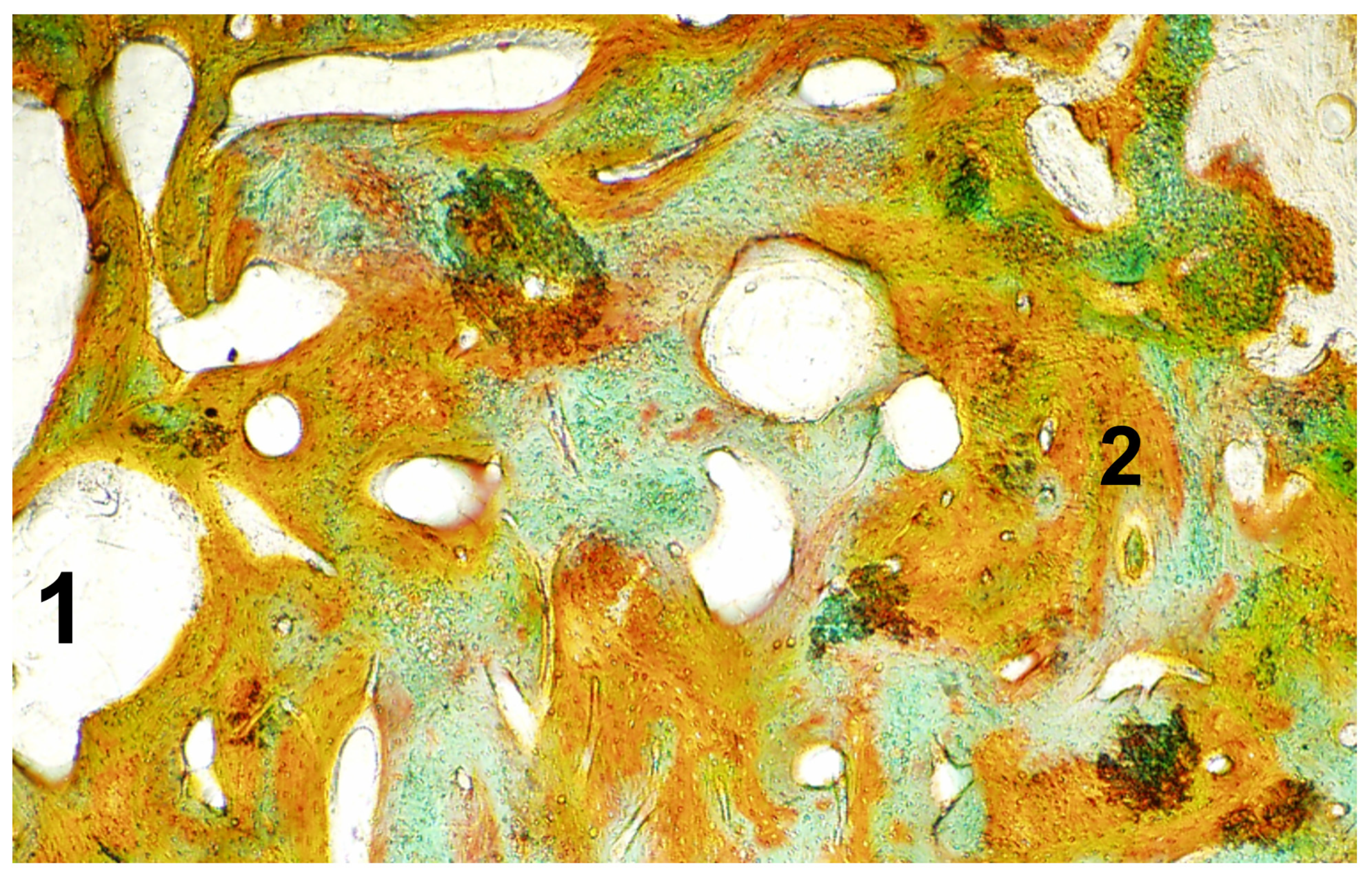 Applsci 14 03375 g007