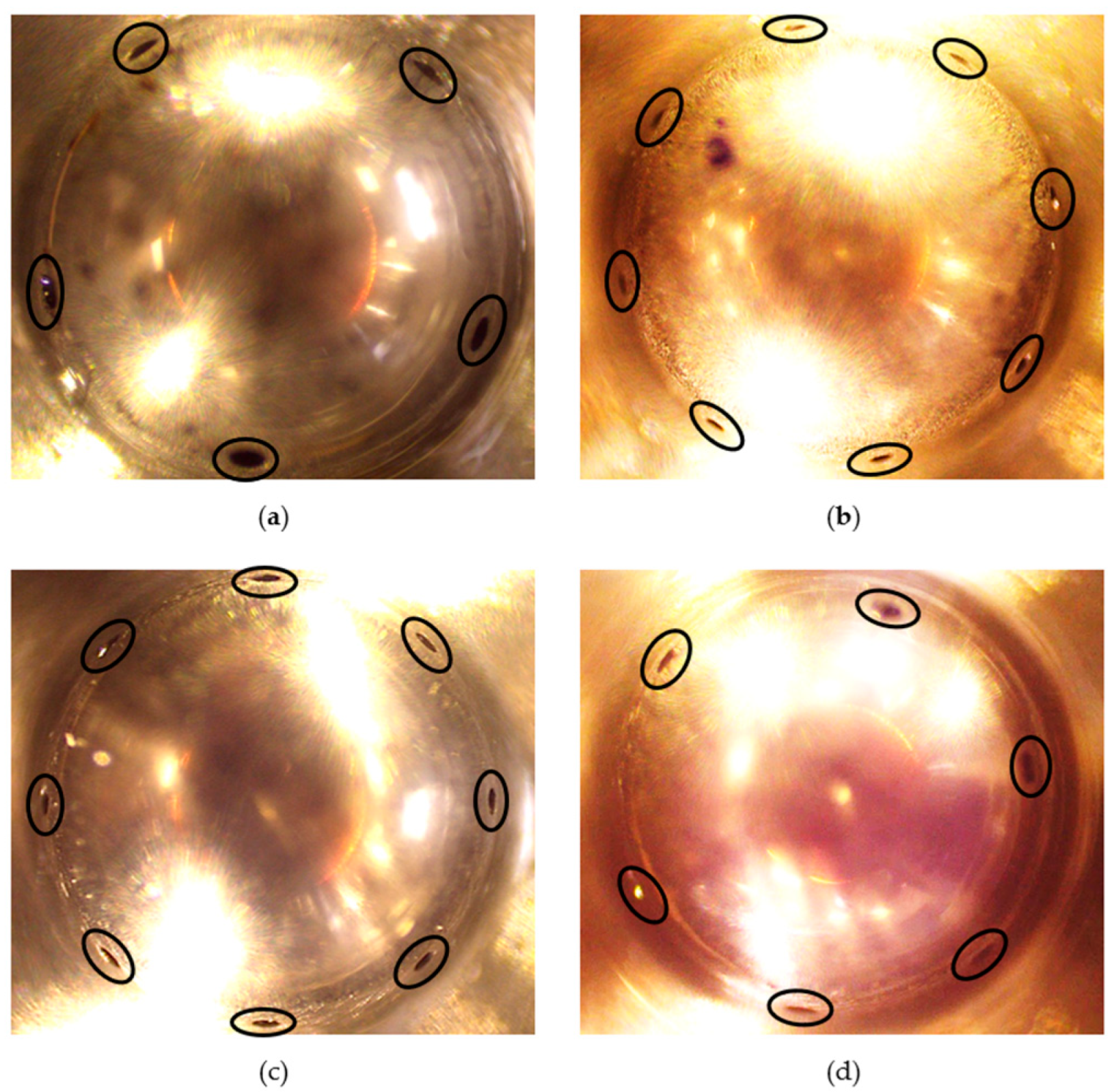 Applsci 14 03394 g003