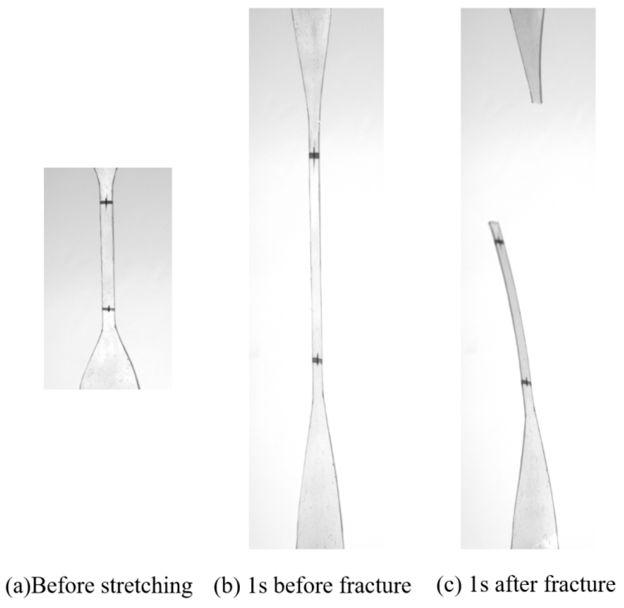Applsci 14 03416 g003
