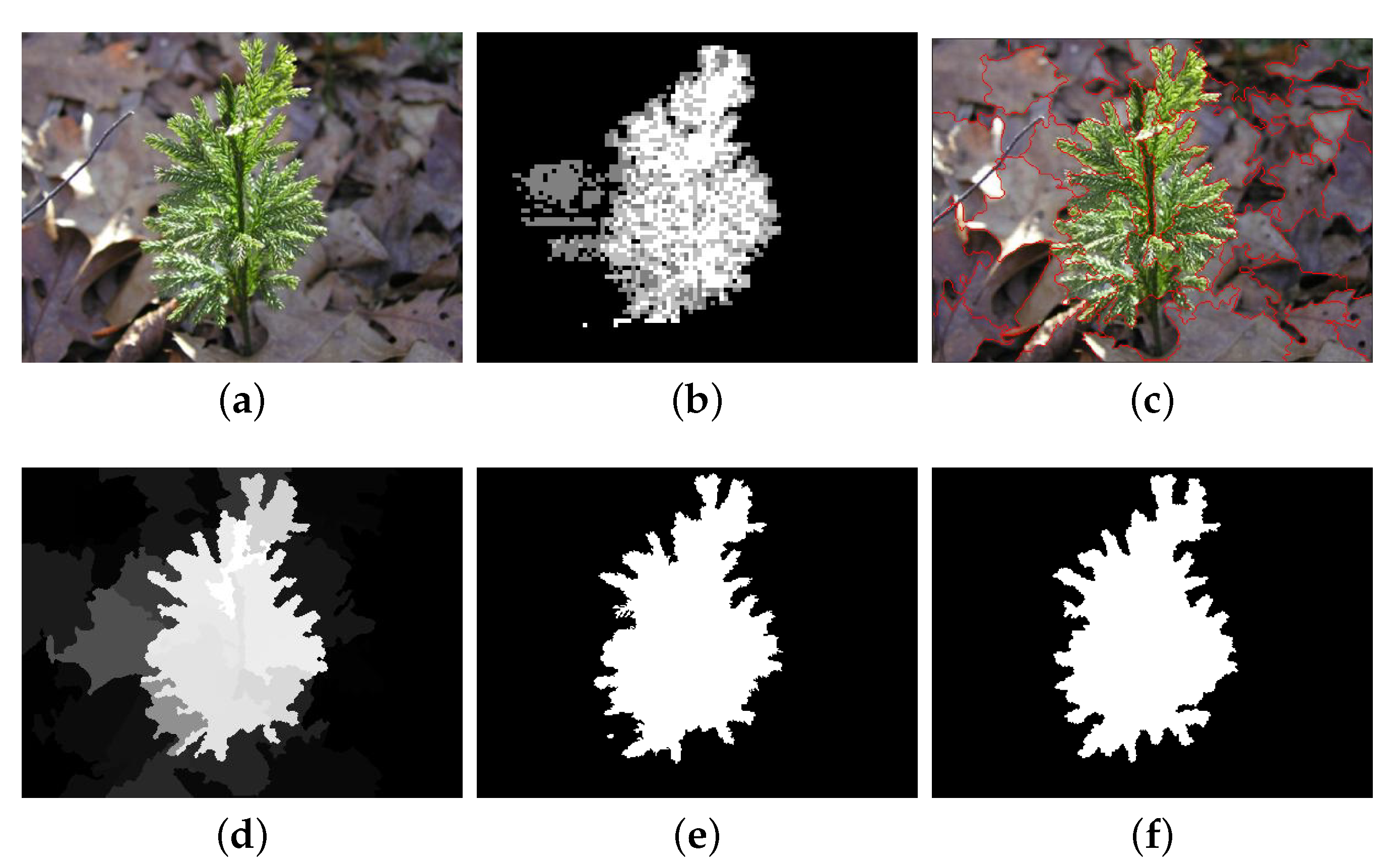 Applsci 14 03433 g006