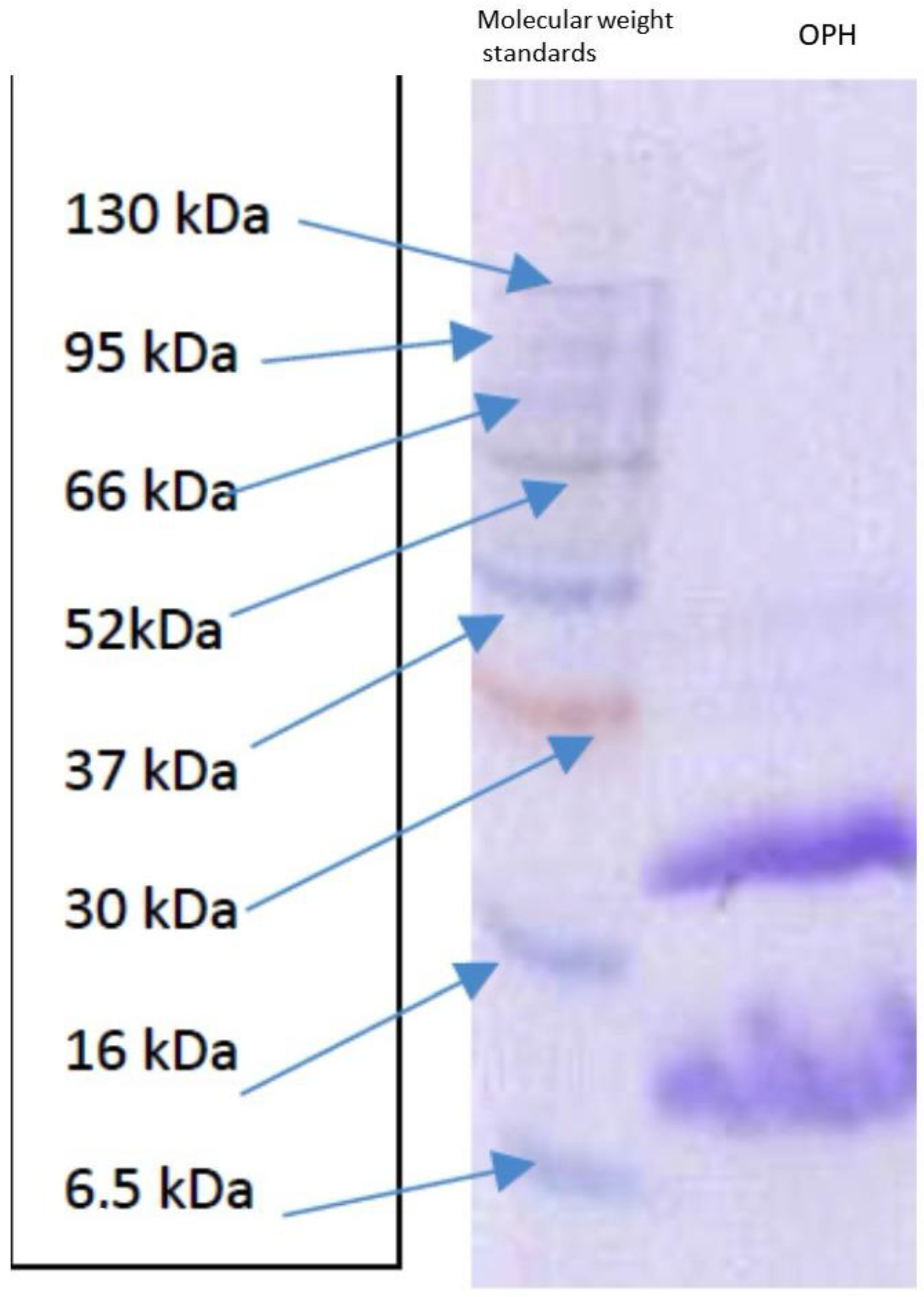 Applsci 14 03445 g001
