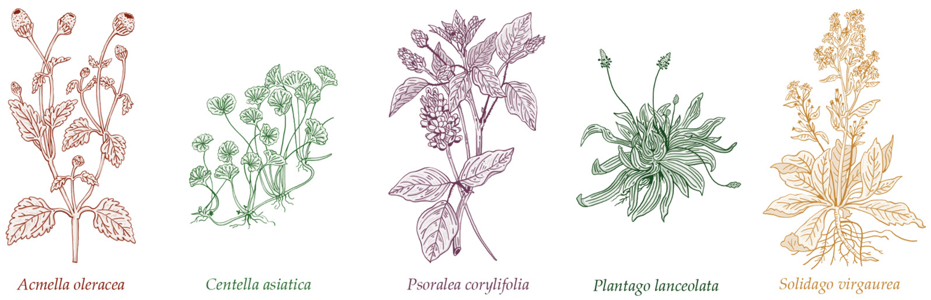 Applsci 14 03487 g001