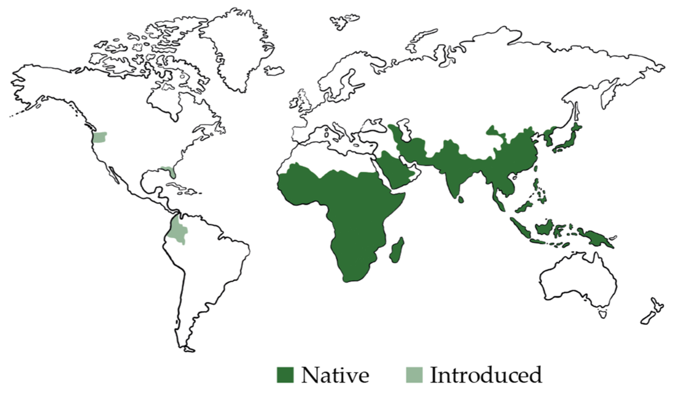 Applsci 14 03487 g006