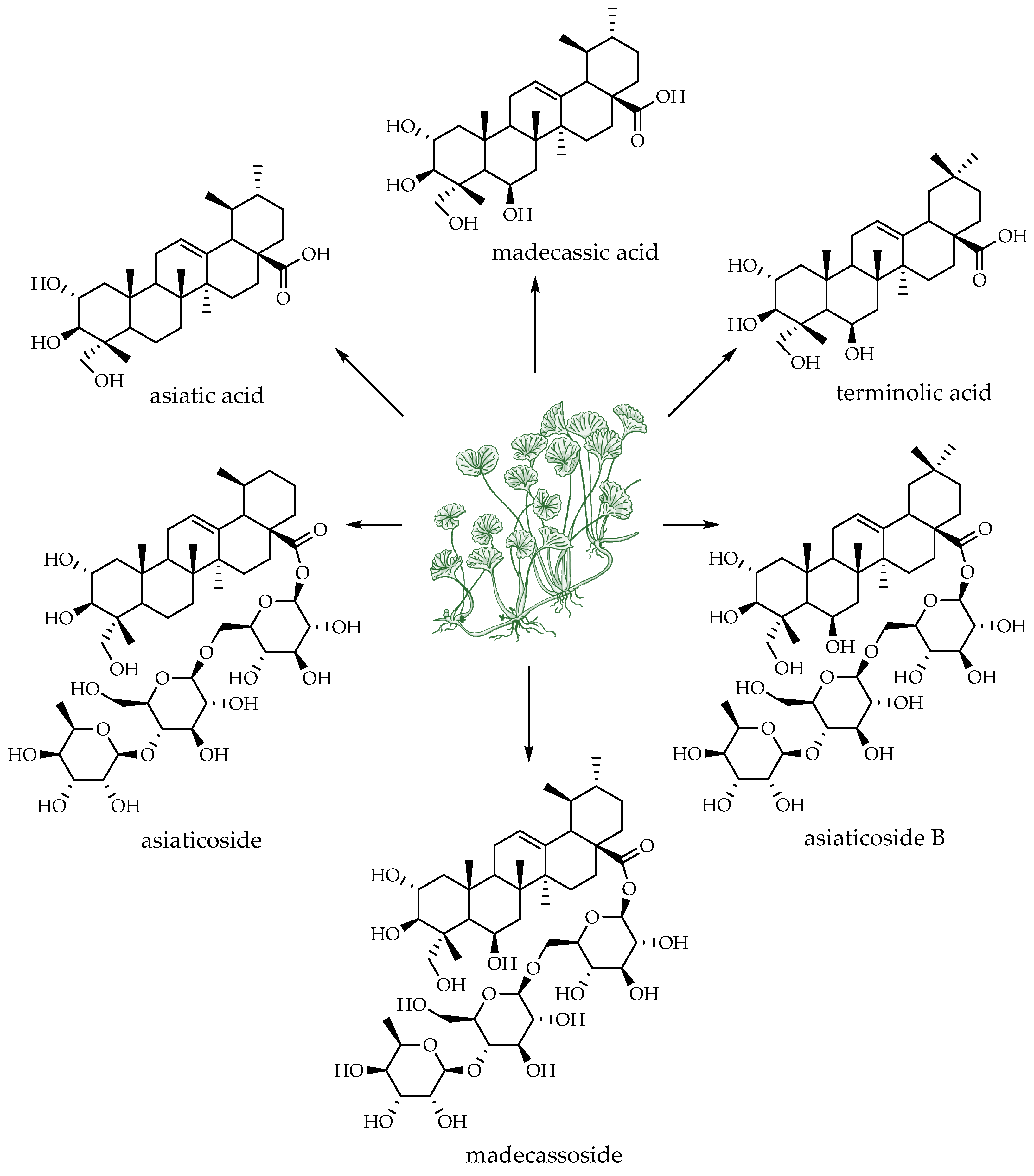 Applsci 14 03487 g007