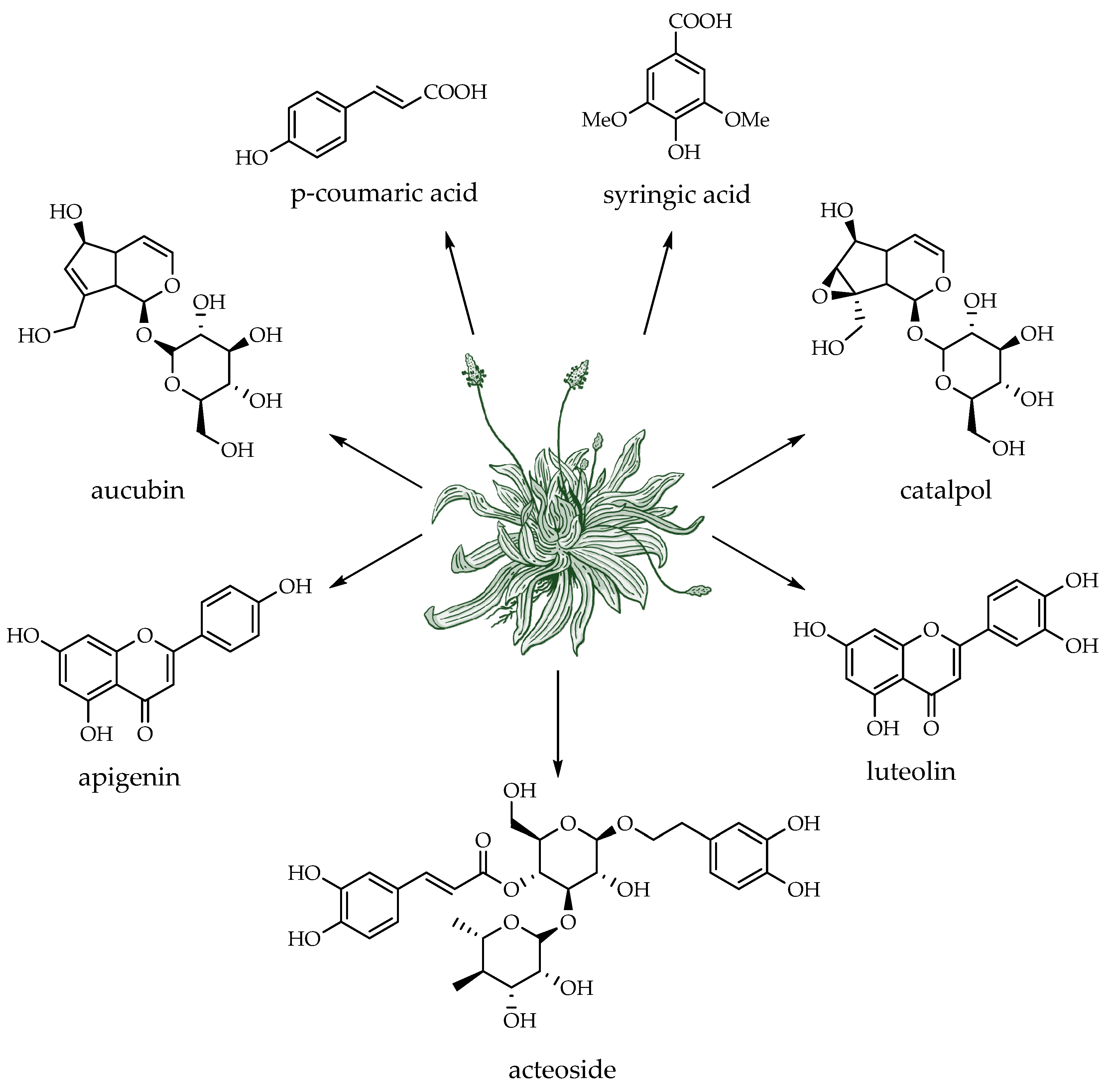 Applsci 14 03487 g011