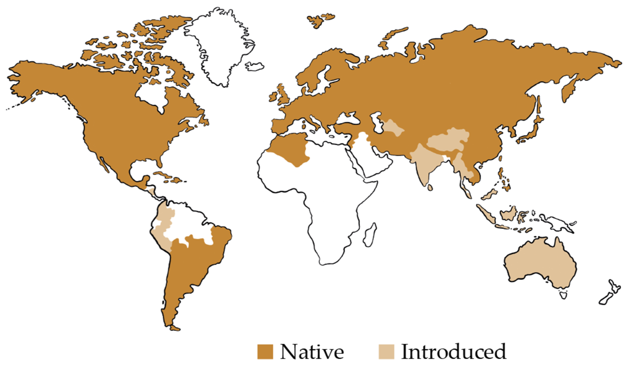 Applsci 14 03487 g012