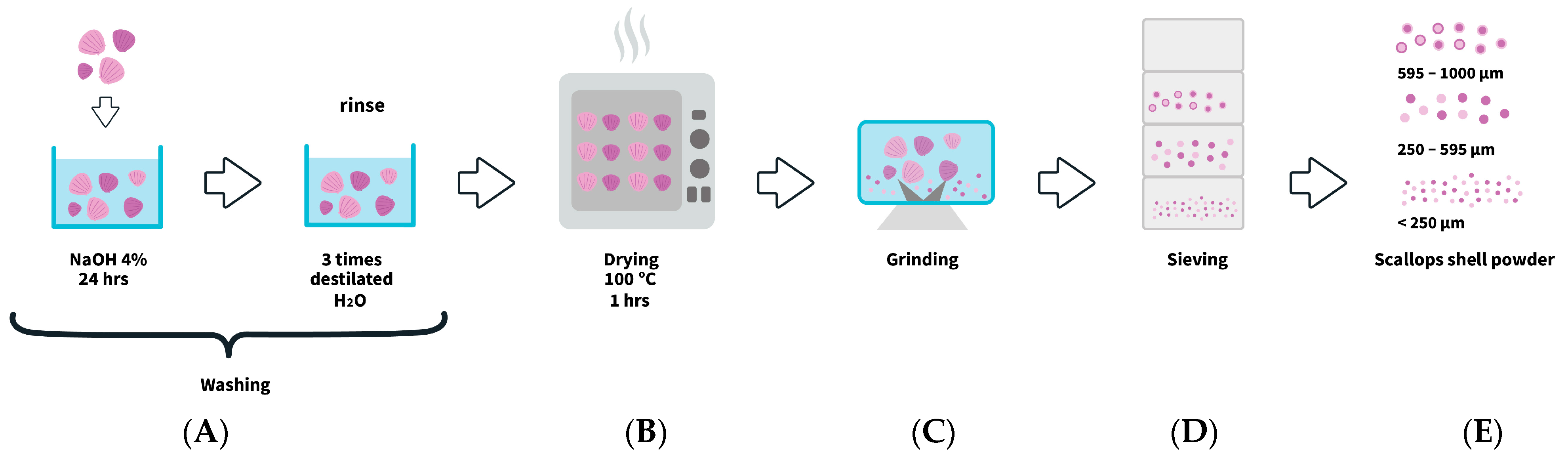 Applsci 14 03499 g001