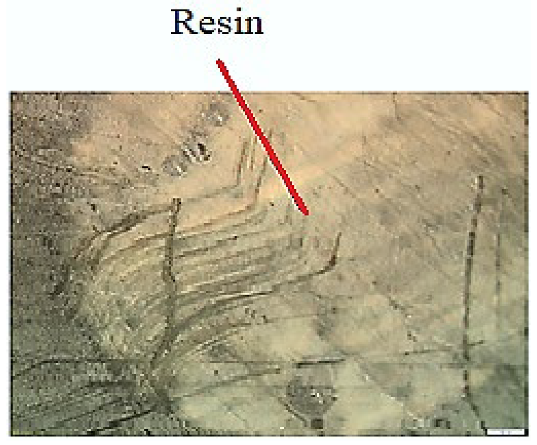 Applsci 14 03523 g003