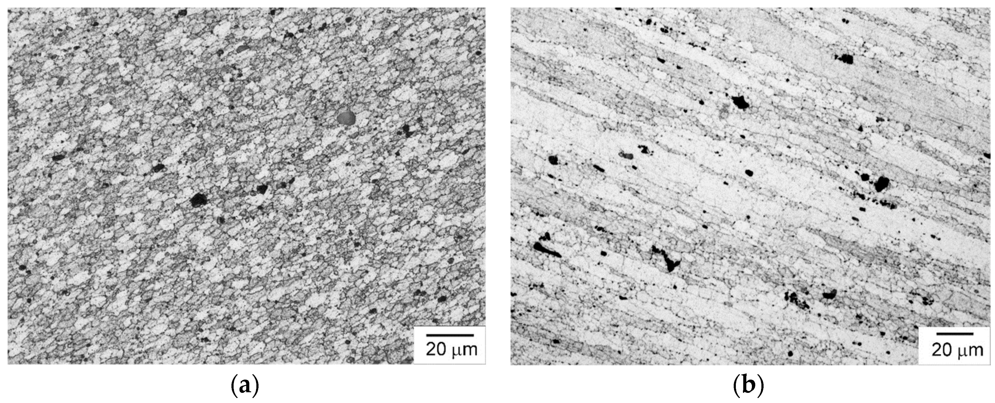 Applsci 14 03544 g006