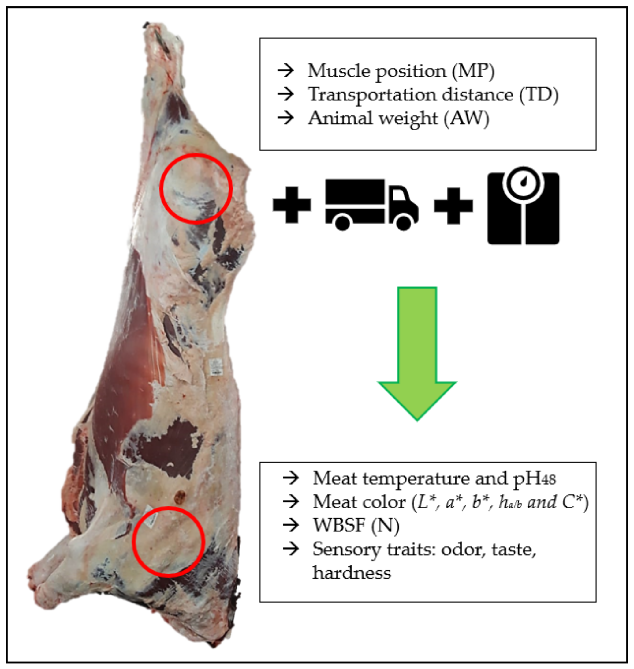 Applsci 14 03557 g001 Applsci 14 03557 g001