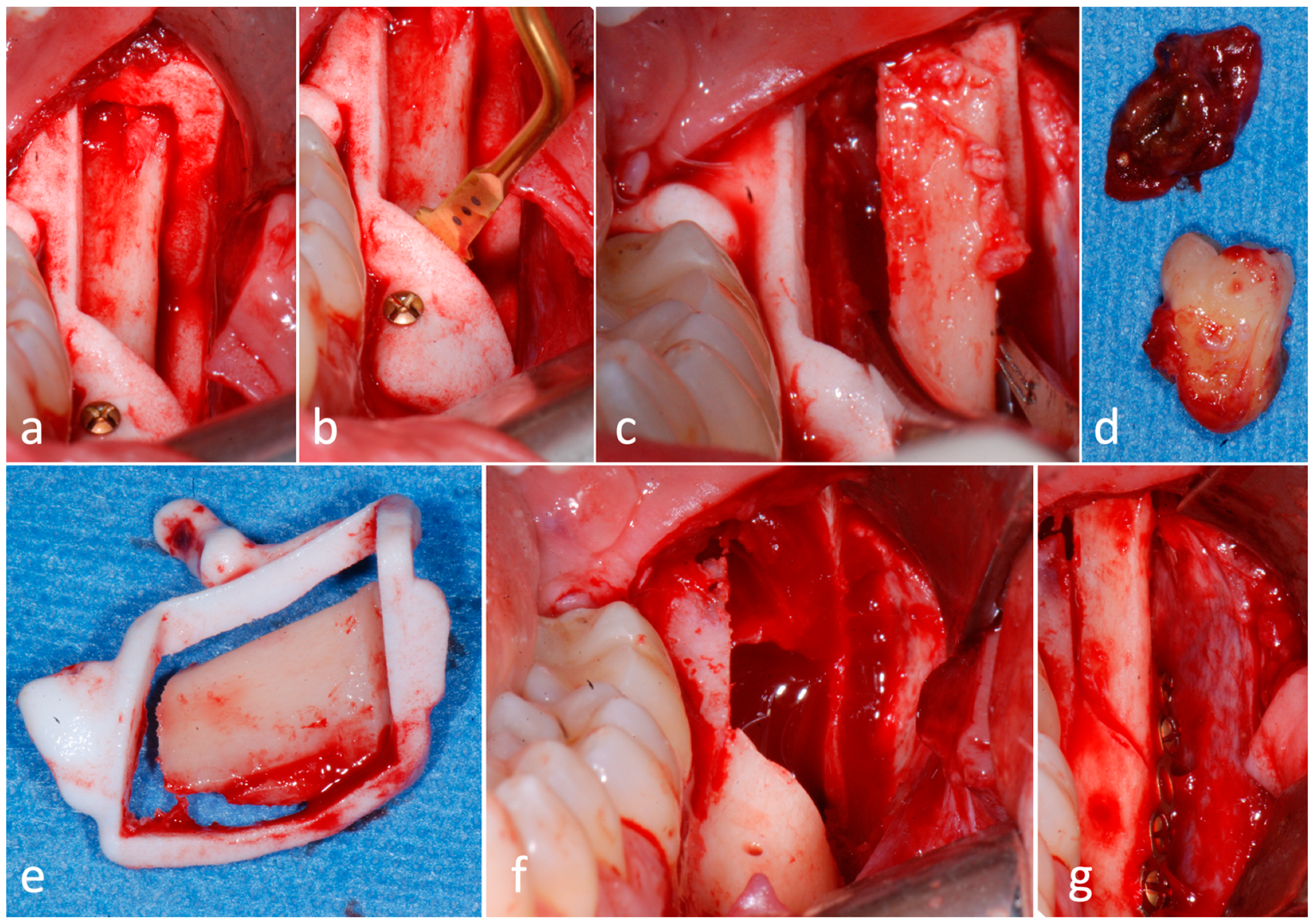 Applsci 14 03580 g003
