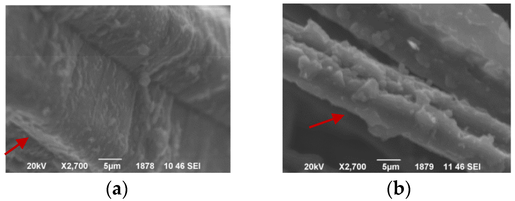 Applsci 14 03582 g003