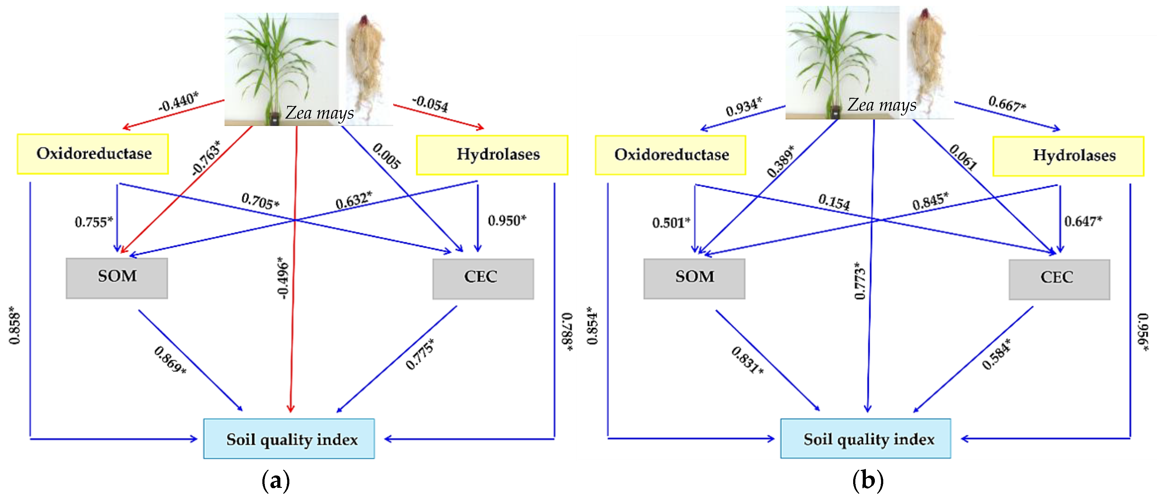 Applsci 14 03591 g009