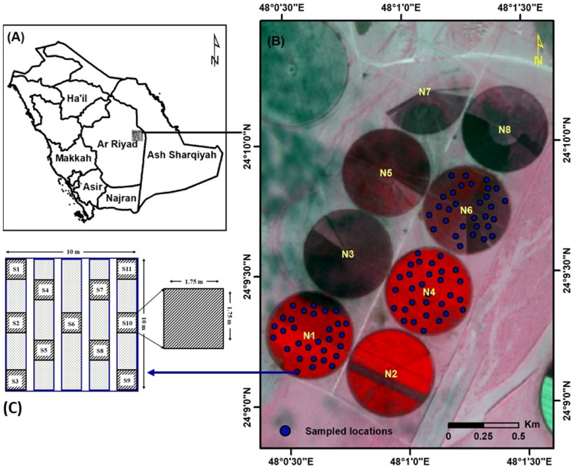 Applsci 14 03636 g001