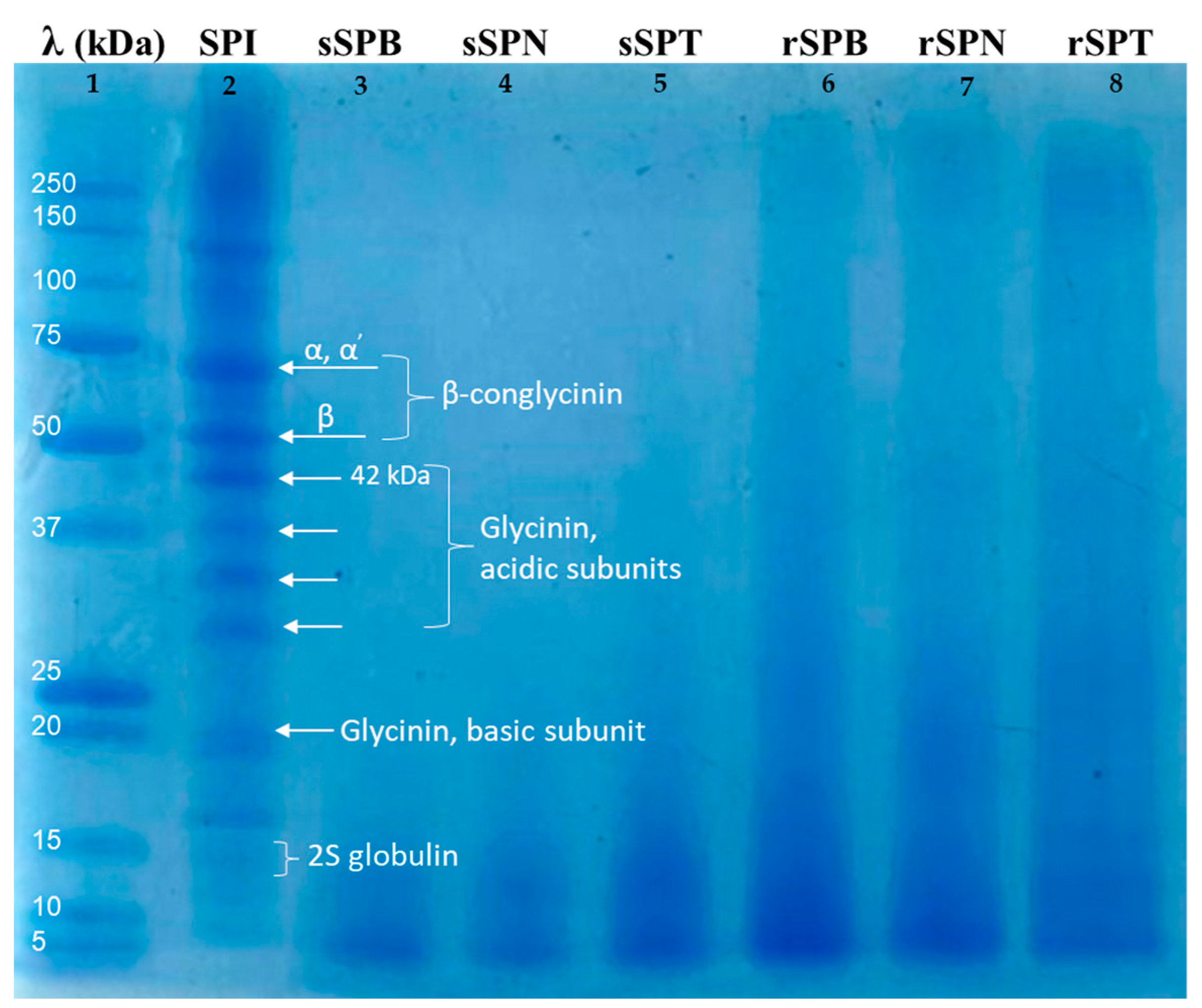 Applsci 14 03640 g001