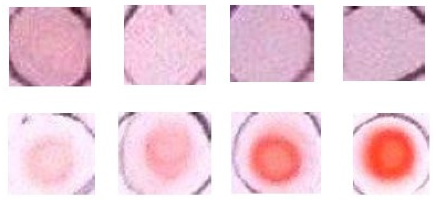 Applsci 14 03651 g001