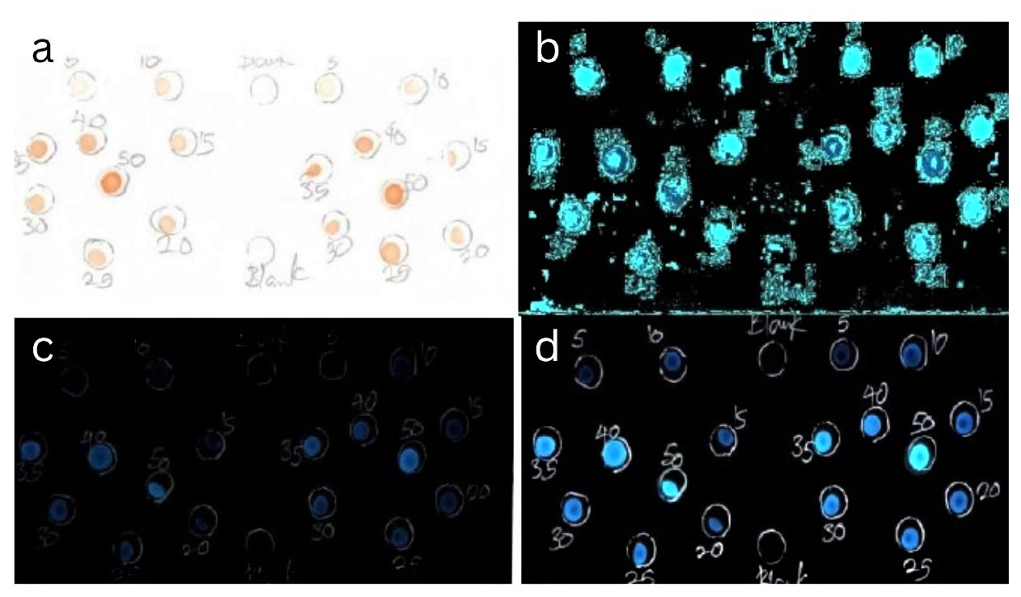 Applsci 14 03651 g002