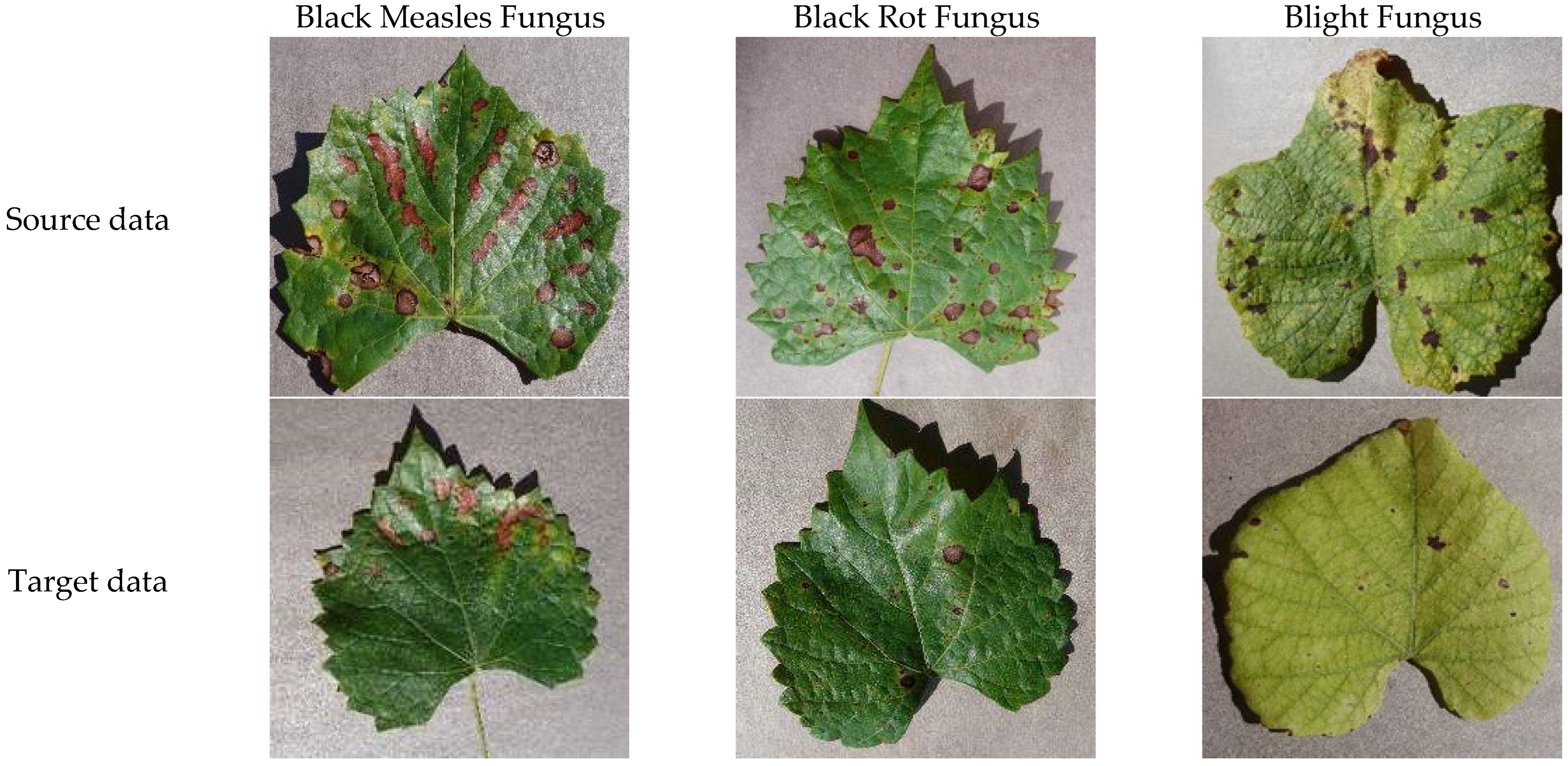 Applsci 14 03727 g001