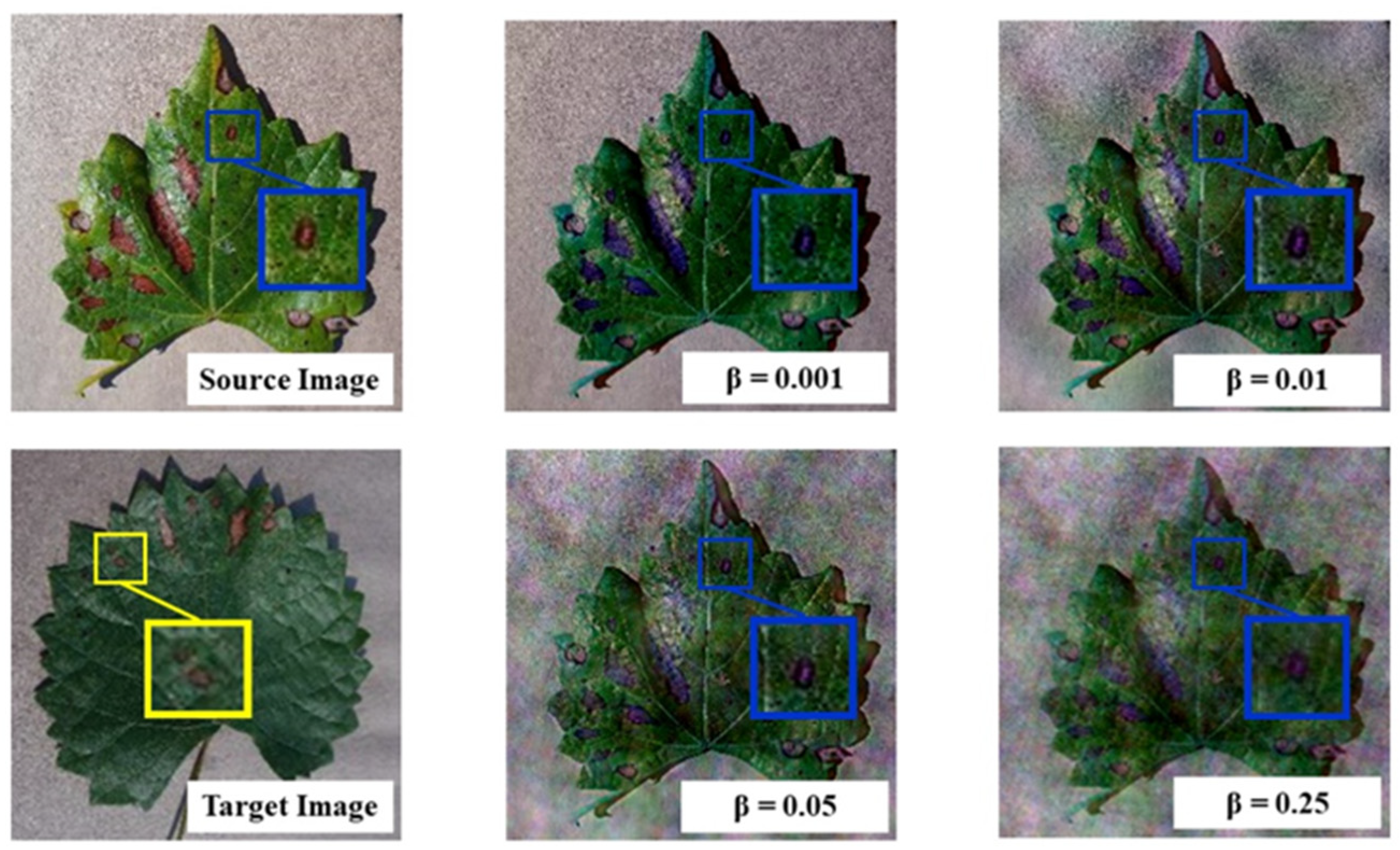 Applsci 14 03727 g003