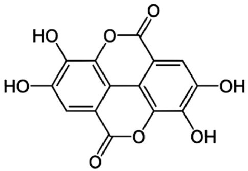 Applsci 14 03728 i021 Applsci 14 03728 i021