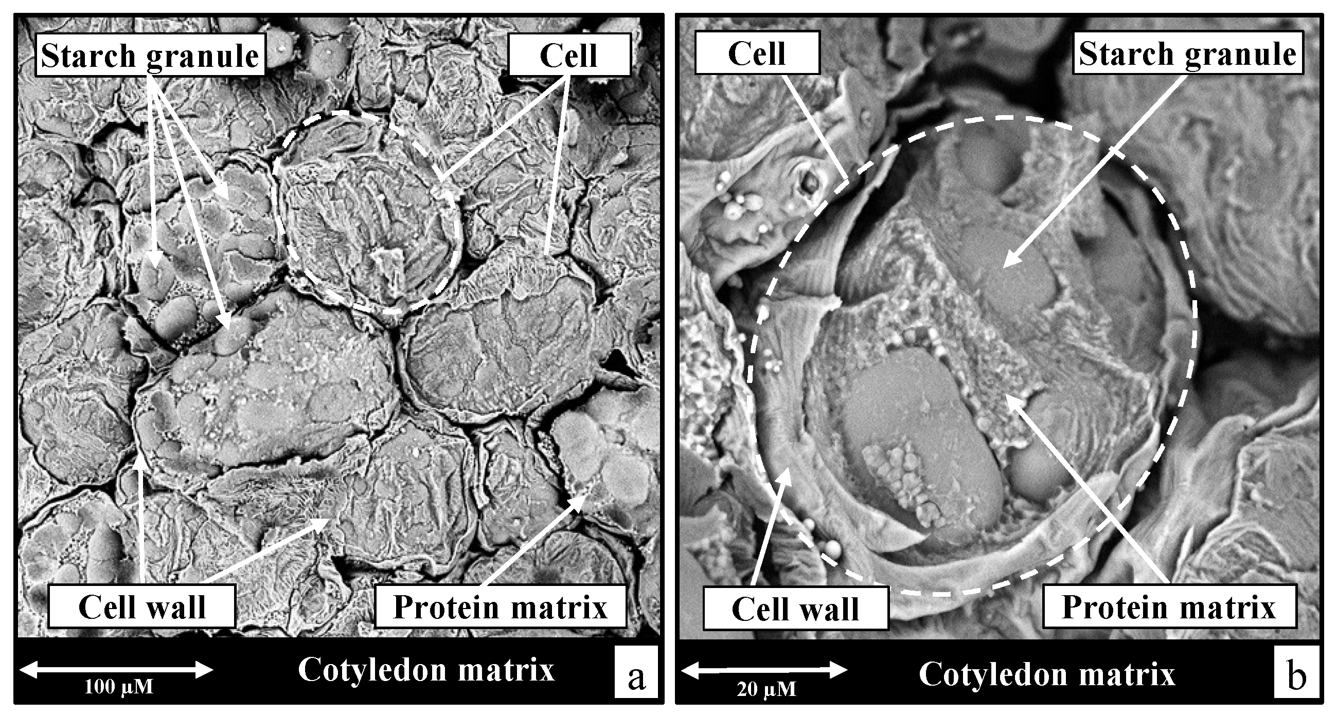 Applsci 14 03740 g001