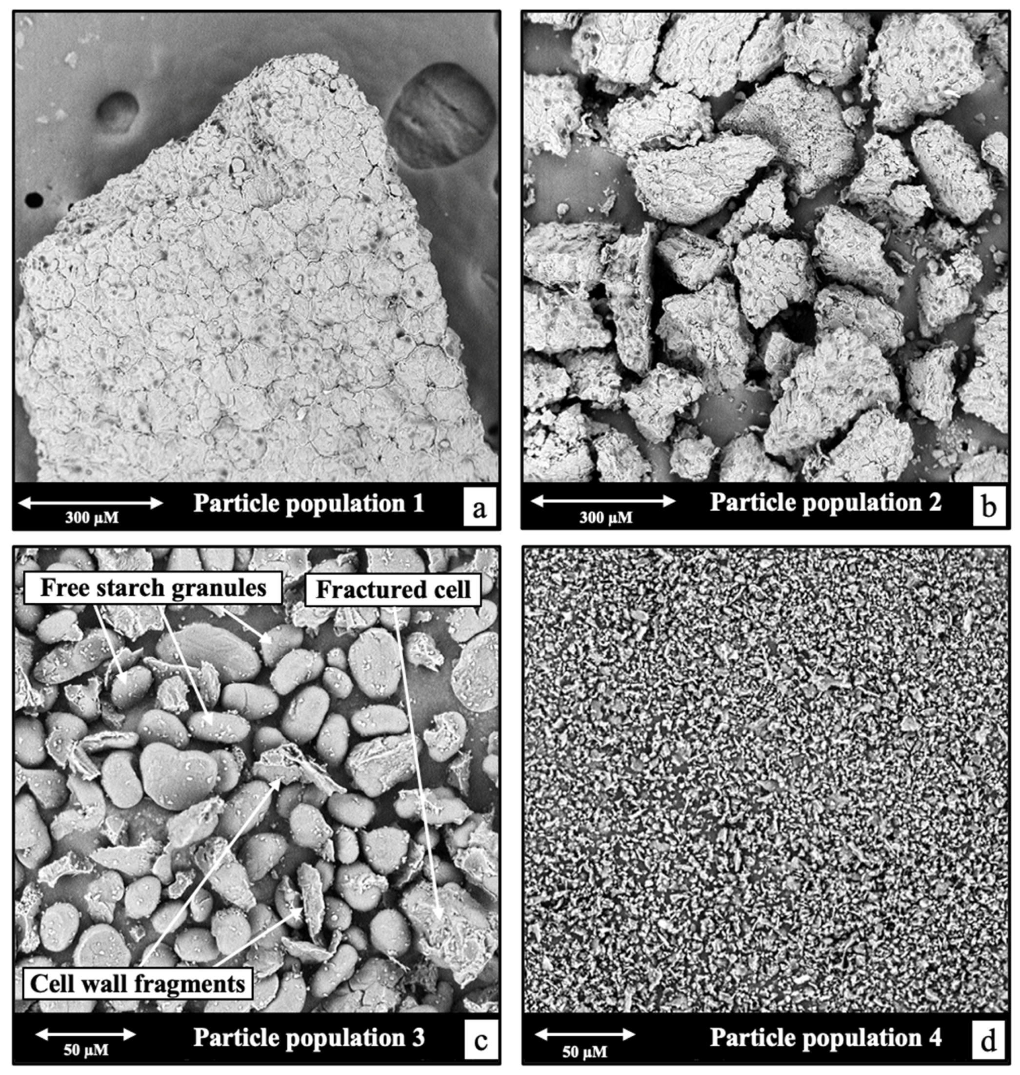 Applsci 14 03740 g003