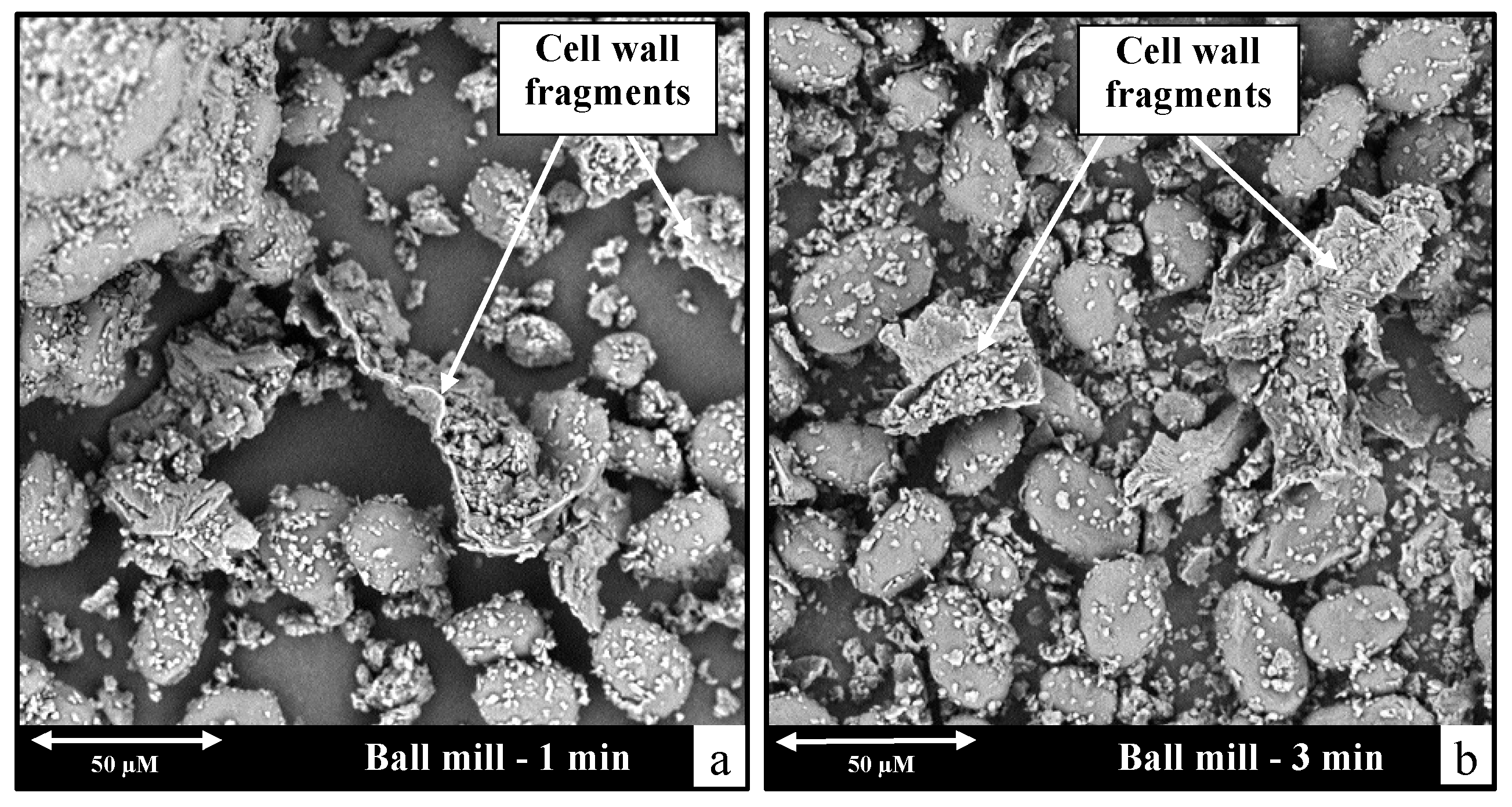 Applsci 14 03740 g008