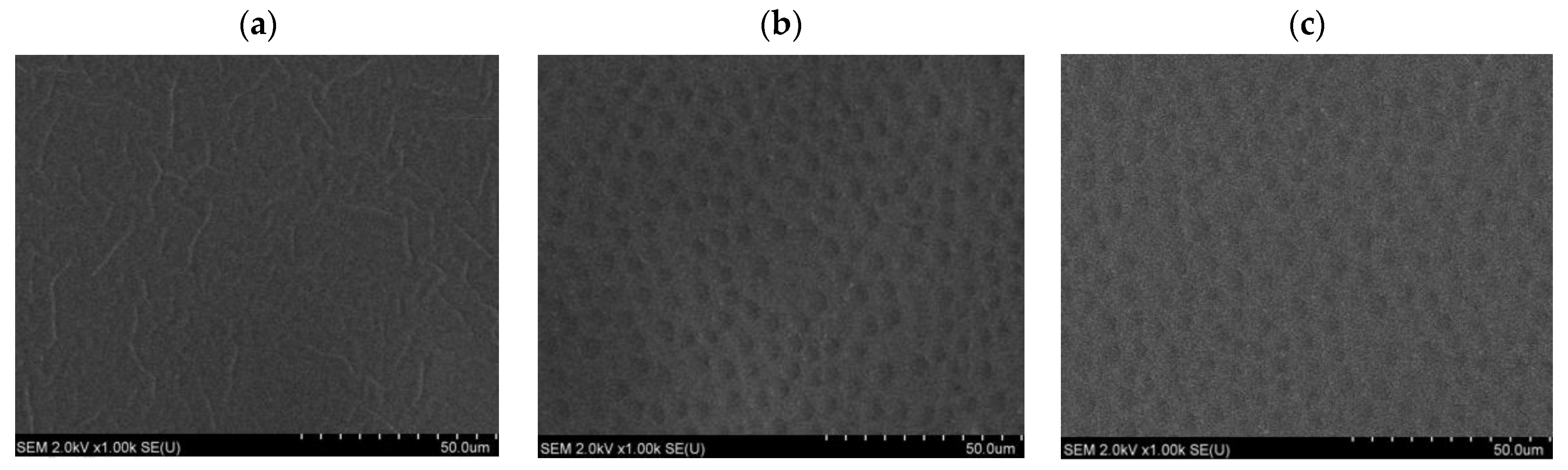 Applsci 14 03754 g003